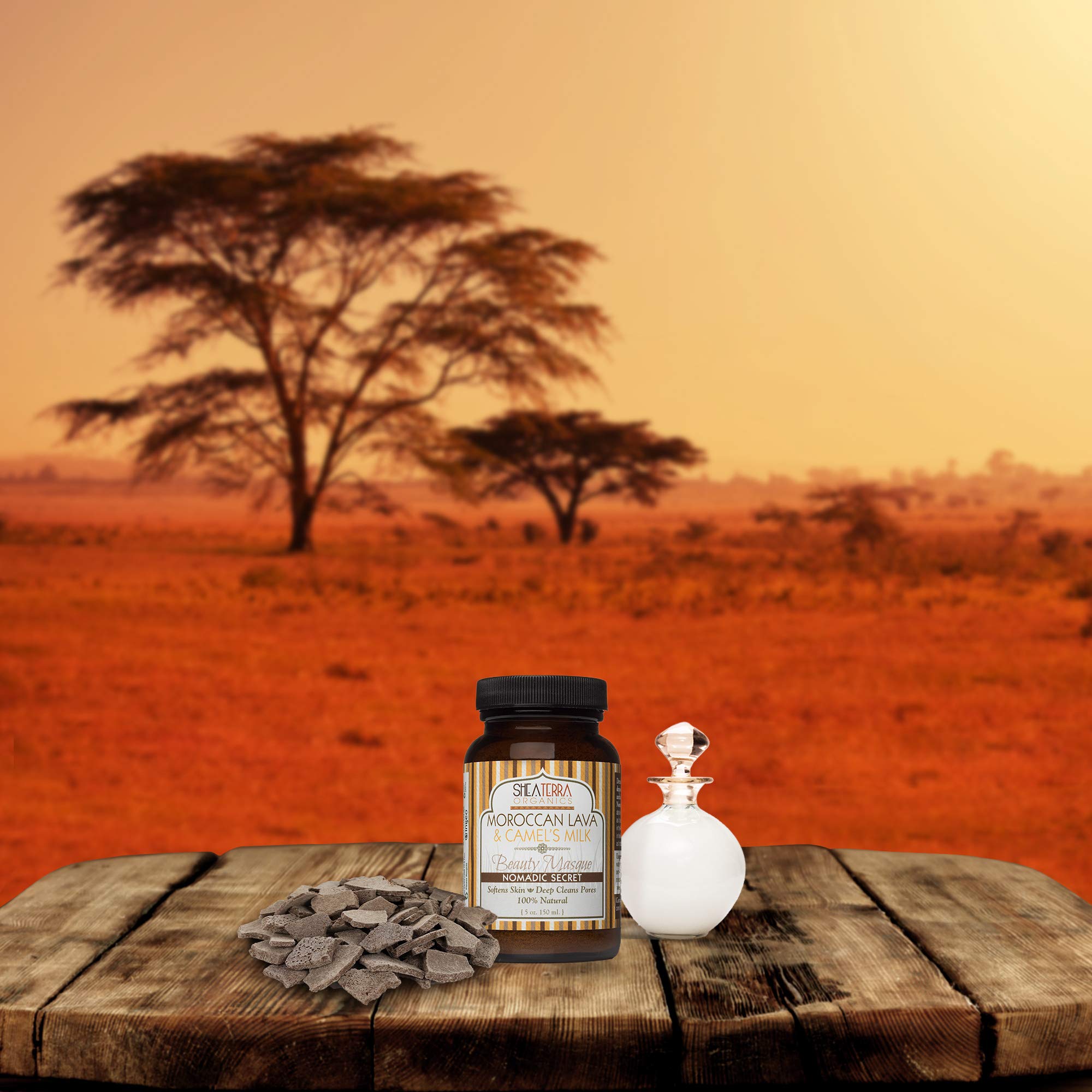 Shea Terra Camels Milk Collection - Nomadic Secret Beauty Masque | Natural, Anti-Aging, Brightening Face Mask with Anti-Acne Pro