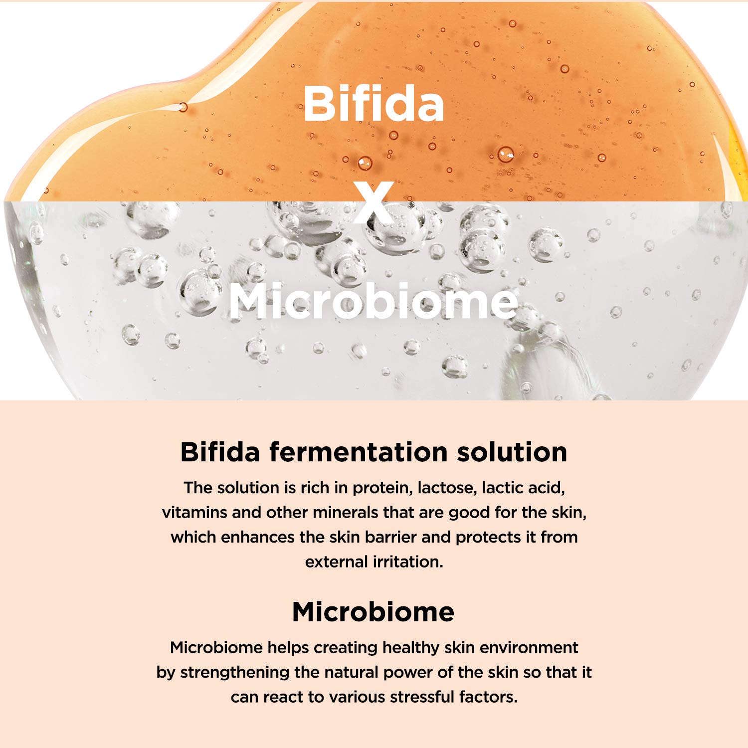 Ma:Nyo Bifida Biome Concentrate Cream Facial Moisturizing Cream With Hyaluronic Acid, Ceramide, For Women Skin Care, Natural Kor