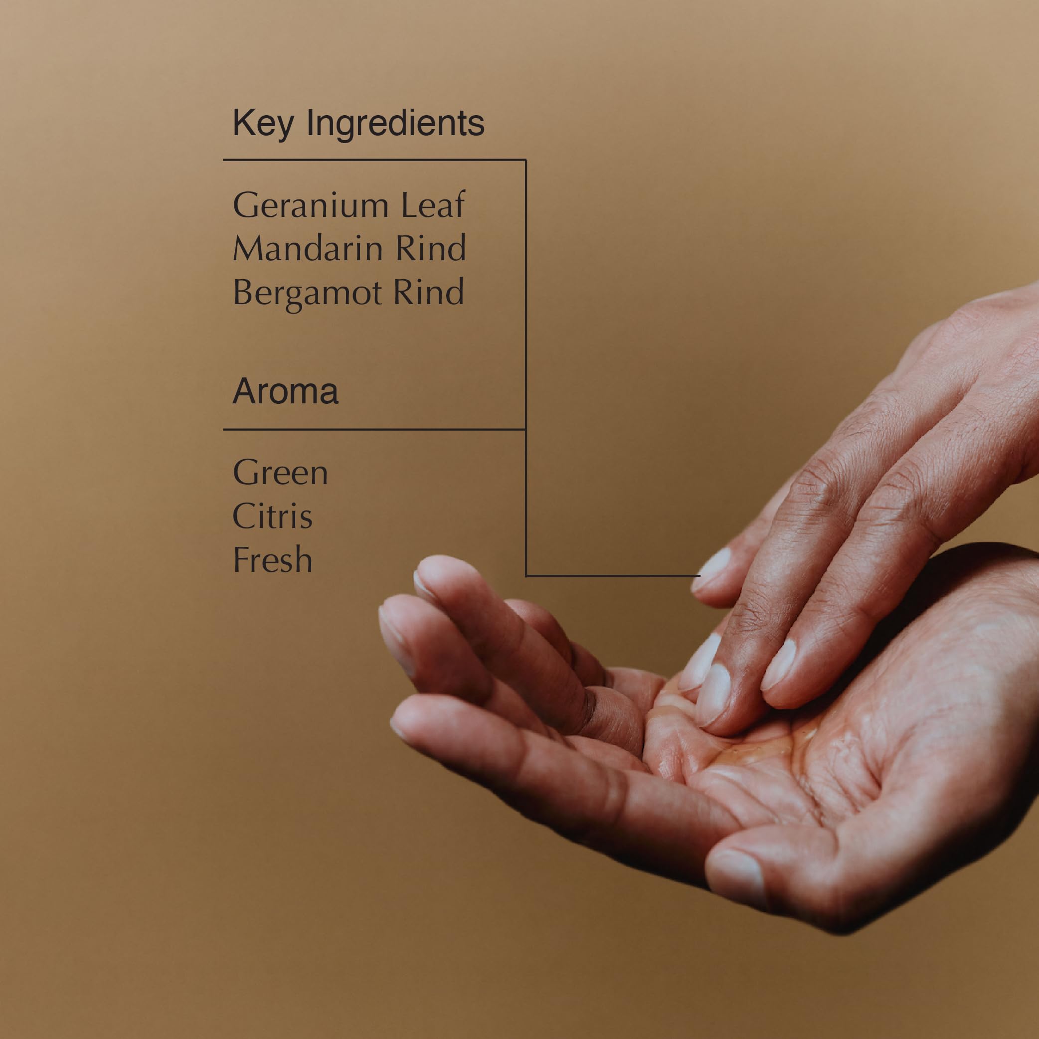 Aesop Geranium Leaf Body Cleanser | Invigorating Gentle Cleansing Gel | Green, Citrus, Fresh | 16.9 fl oz