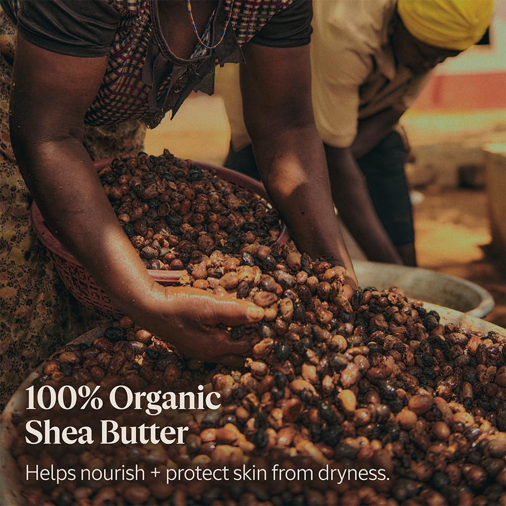 LOccitane Shea Butter Hand Cream 5.1 Oz: Nourishes Very Dry Hands, Protects Skin, With 20% Organic Shea Butter, Vegan, 1 Sold Ev