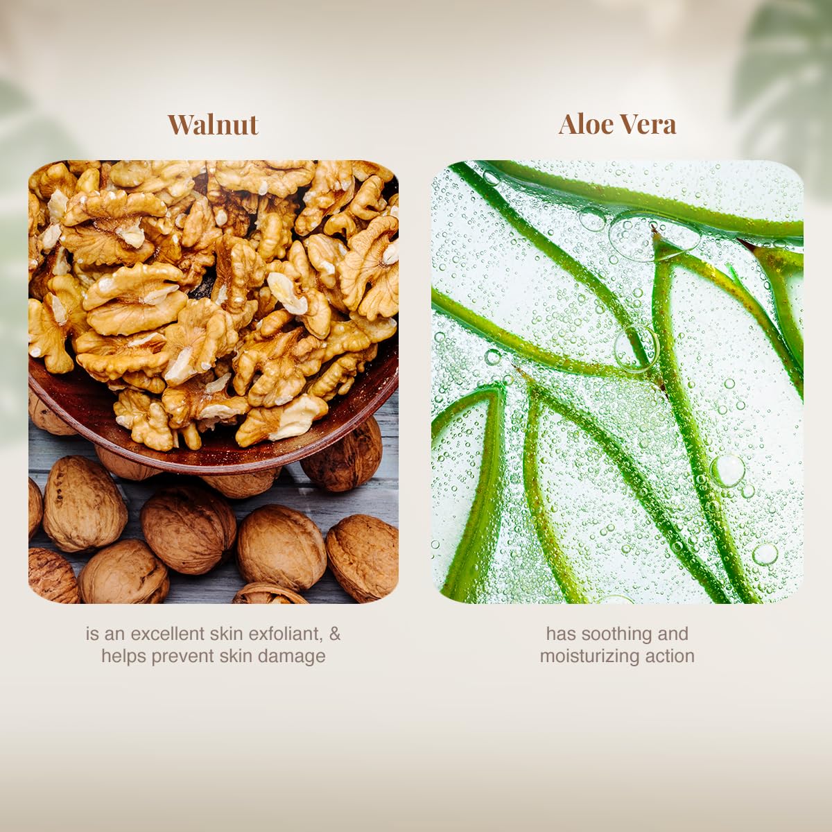 VLCC Walnut Face Scrub(80gm)