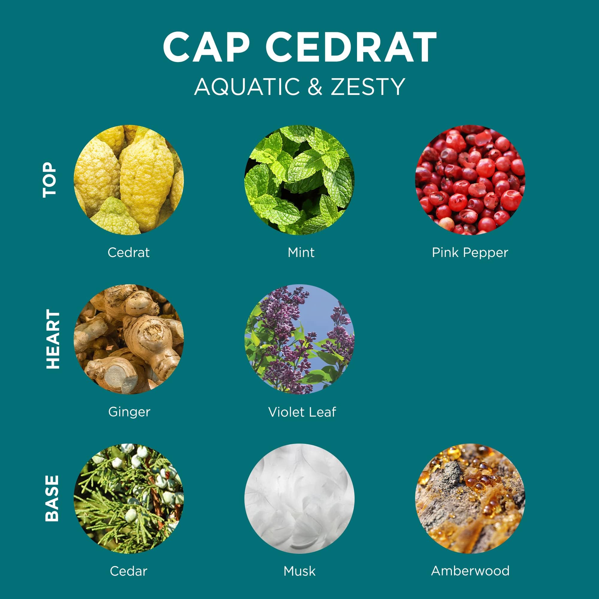 Loccitane Cap Cedrat Shower Gel, 840 Fl Oz Cap Cadrat 1 Count
