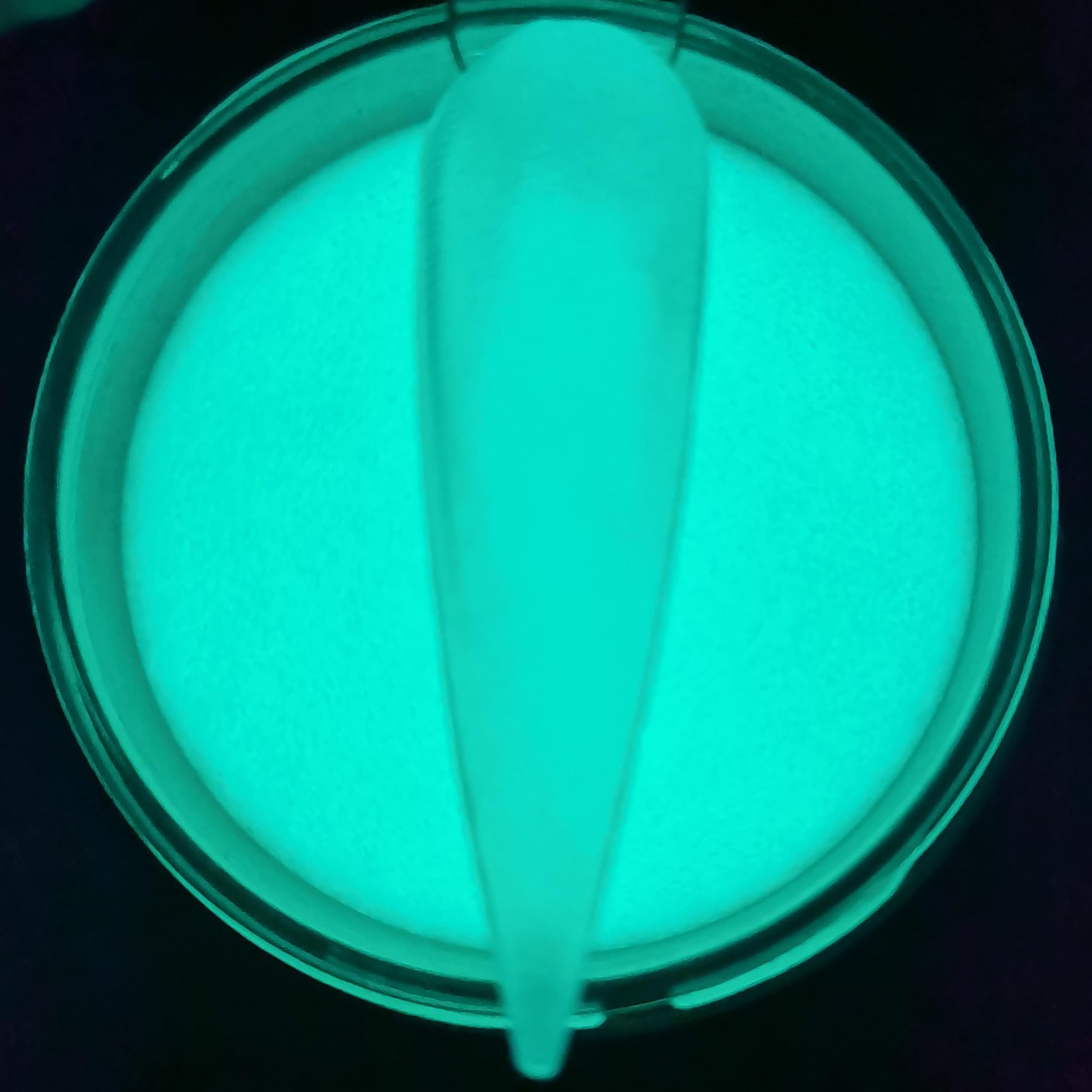 Glow In The Dark Clear Acrylic Nail Powder 2Oz Semi-Transparent Top Coat Powder For Nail Arts (Ap058)