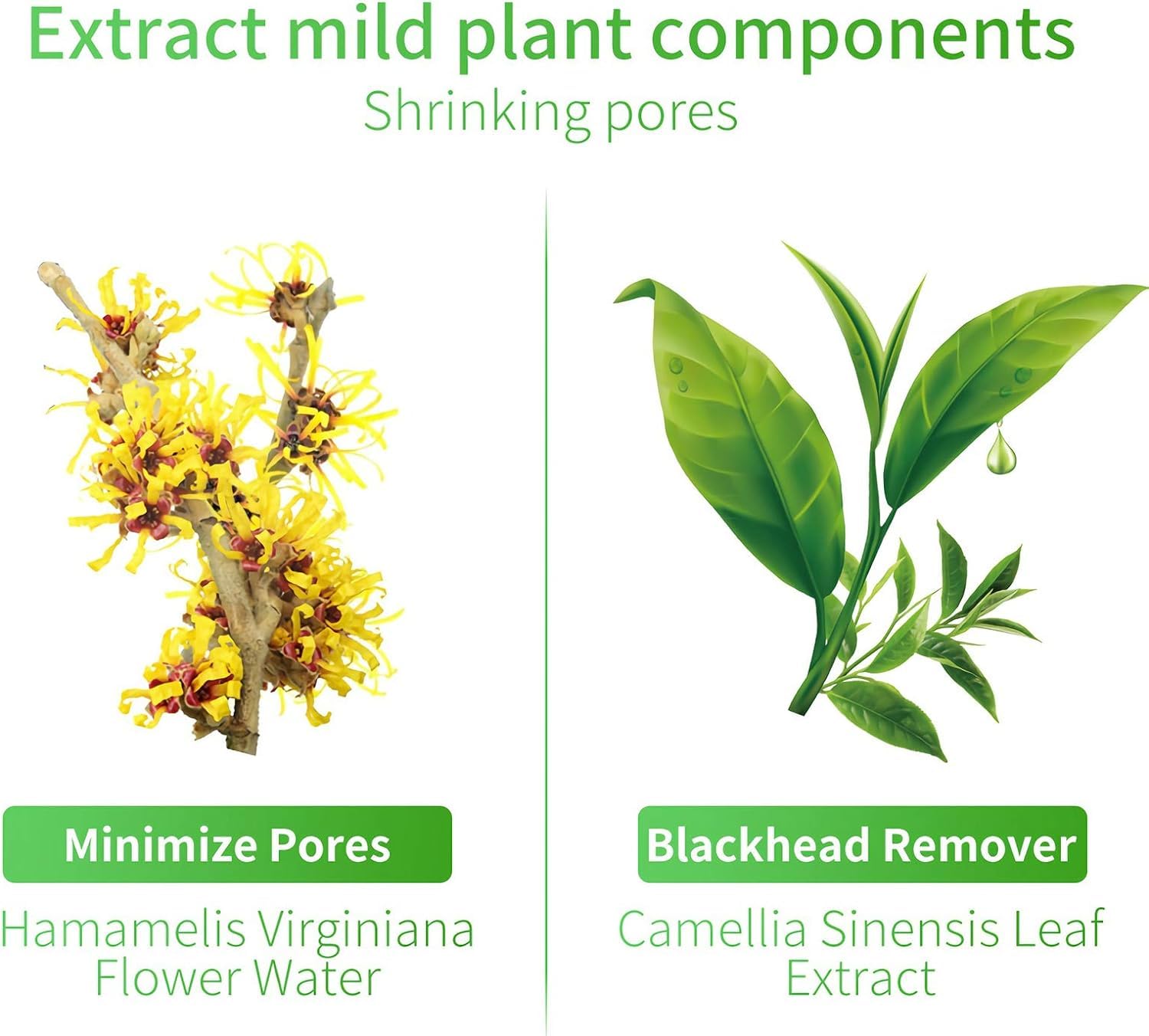 Lanbena Pore Minimizer Serum, Pores Shrinking Serum For Face, Oil Control Firming, Tightening Pores, Vegan Moisture After Blackh