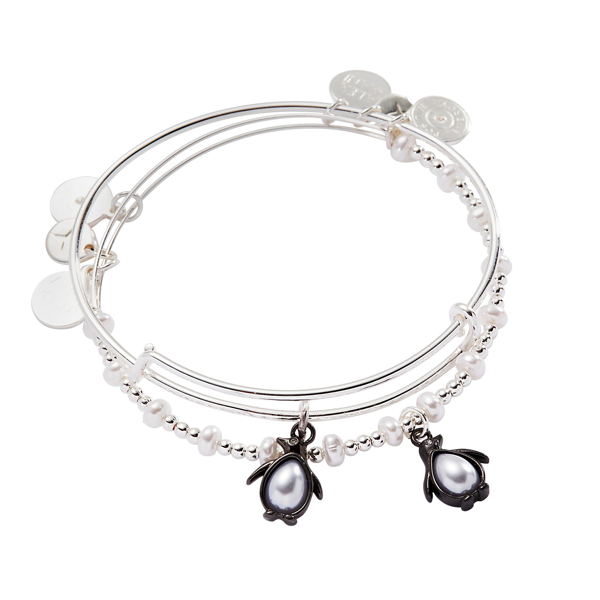 Alex and Ani Penguin Bangle Set of 2