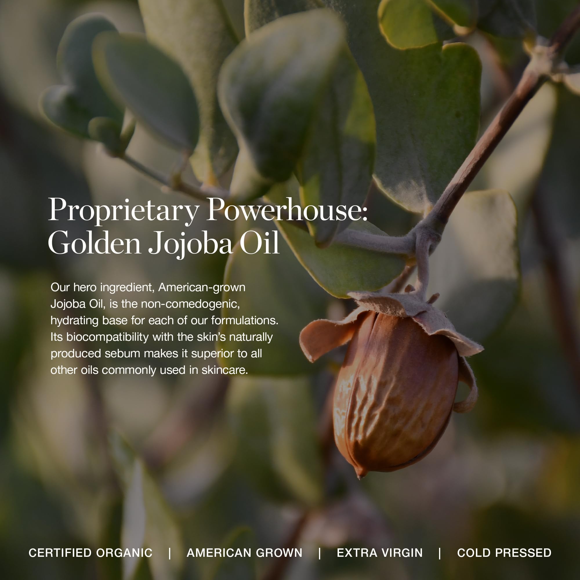 Ogee Complexion Perfecting Tinted Moisturizer For Face (Juniper 3.25W - Medium Light Tan, Bright-Golden Undertone) - Lightweight