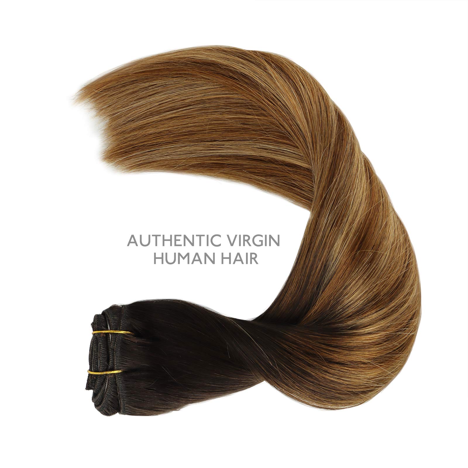 Wennalife Clip In Human Hair Extensions, 22 Inch 120G 7Pcs Dark Brown To Chestnut Brown And Dirty Blonde Highlighted Clip In Hum