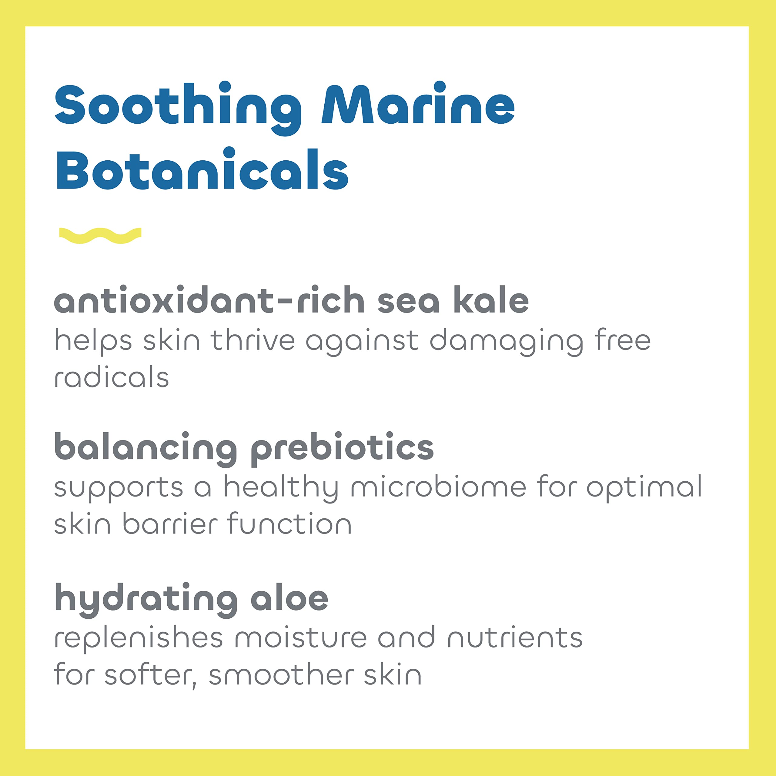 Seaweed Bath Co. Everyday Mineral SPF 40 Broad Spectrum Sunscreen Lotion, 3.4 Ounce (Pack of 2), Sustainably Harvested Seaweed,