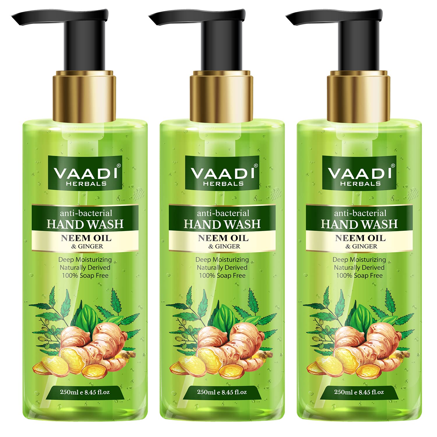 Vaadi Herbals Anti Bacterial Neem Oil And Ginger Hand Wash  250 Ml (Pack Of 3)