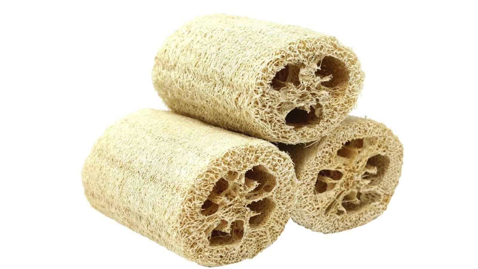 Natural Loofah Exfoliating Bath Sponge By Spa Destinations (3 Pack Of 4'' Loofah) ''Creating The In Home Spa Experience'' 100% M