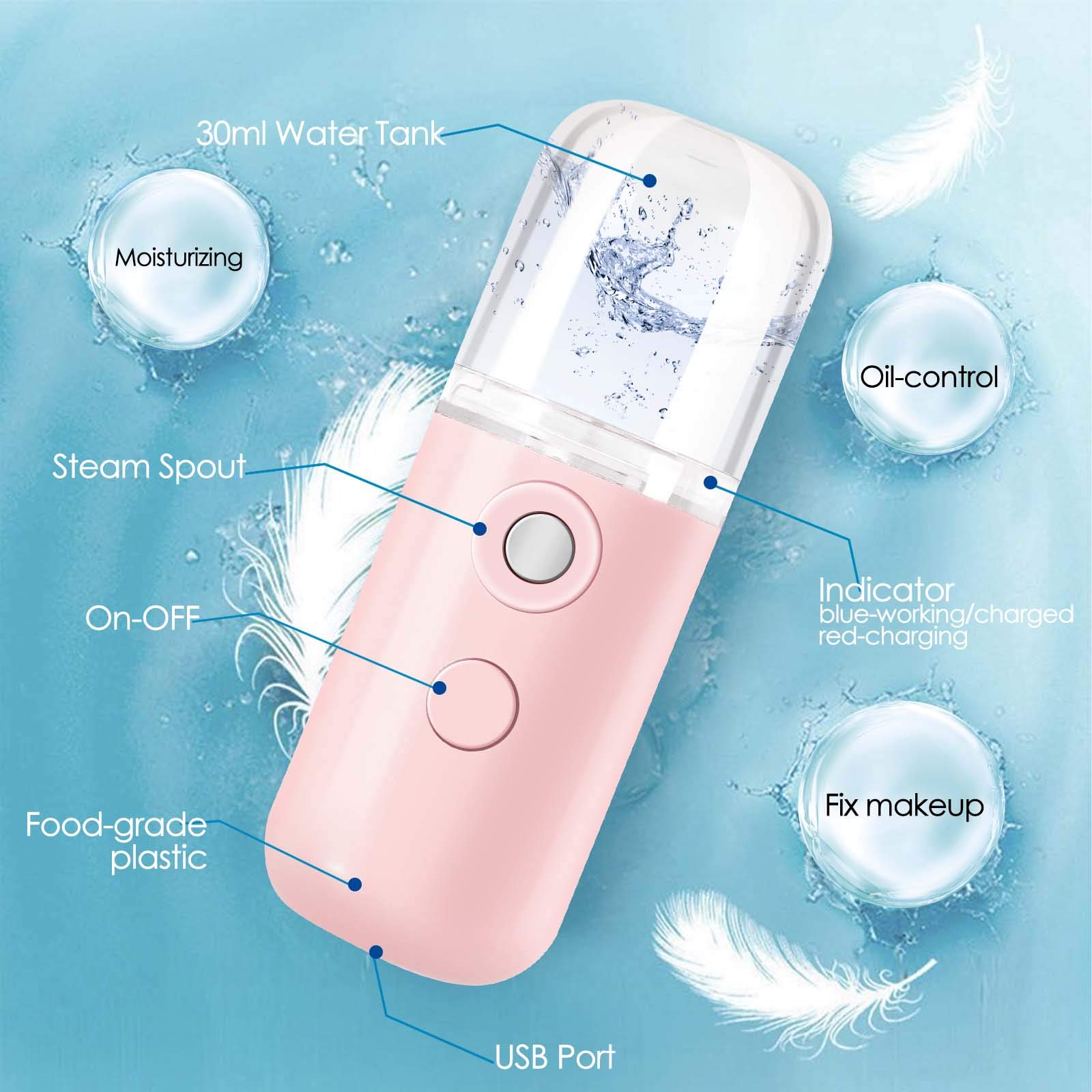 Giverare Nano Facial Steamer, Handy Mini Mister, Usb Rechargeable Mist Sprayer, 30Ml Visual Water Tank Moisturizing&Hydrating Fo