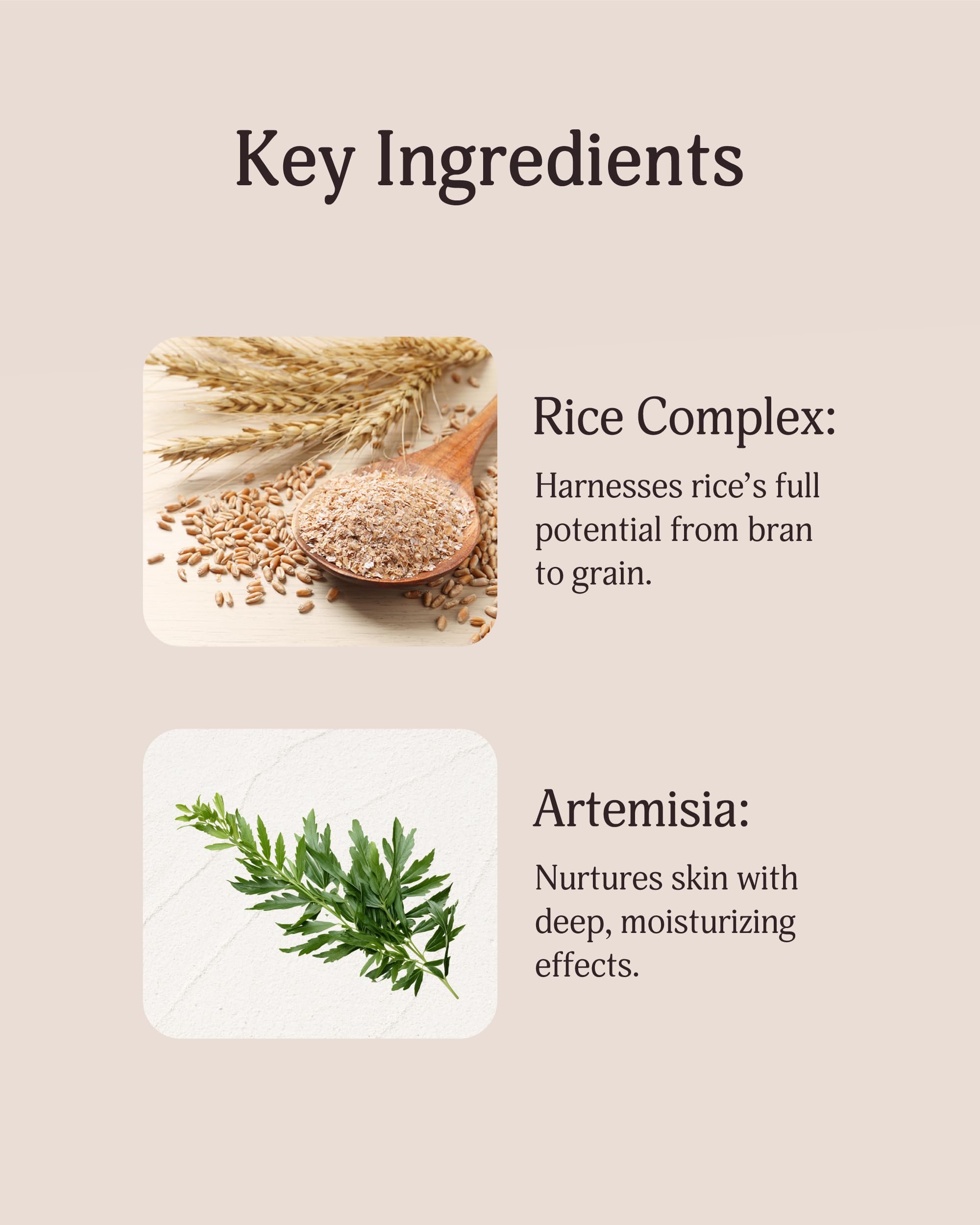 Veilment Rice Therapy Artemisia Foam Cleanser (Pack Of 1, 5.1Fl Oz) - Gentle Moisturizing Face Wash For Sensitive Skin. Daily Hy