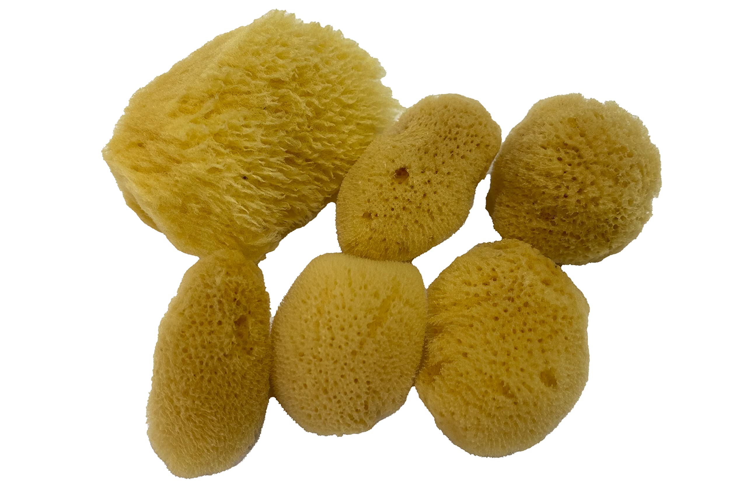 Soft Natural 6 Silk Sponges 1.5''-3'' Cosmetic Makeup Application Removal Face Eye Nail Cleaning Like Cotton Balls Awesome Aquat