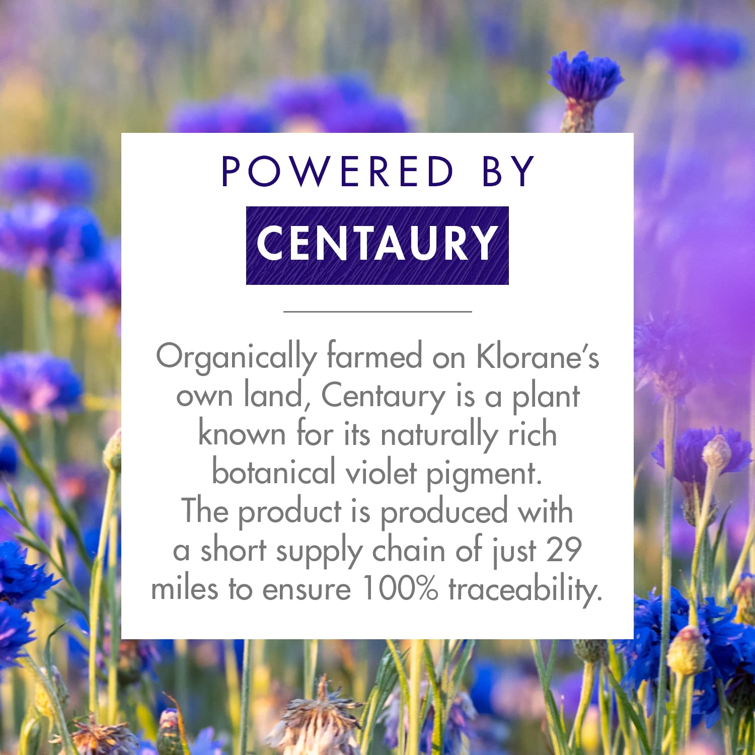 Klorane Plant-Based Purple Conditioner with Centaury, Brightens Blonde, Platinum, Silver, Gray or White Hair, Neutralizes Unwant