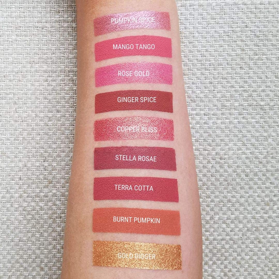 Aromi Ginger Spice Matte Liquid Lipstick | Nutmeg, Terra Cotta Lip Color, Vegan & Cruelty-Free Beauty, Burnt Orange, Long-Lastin