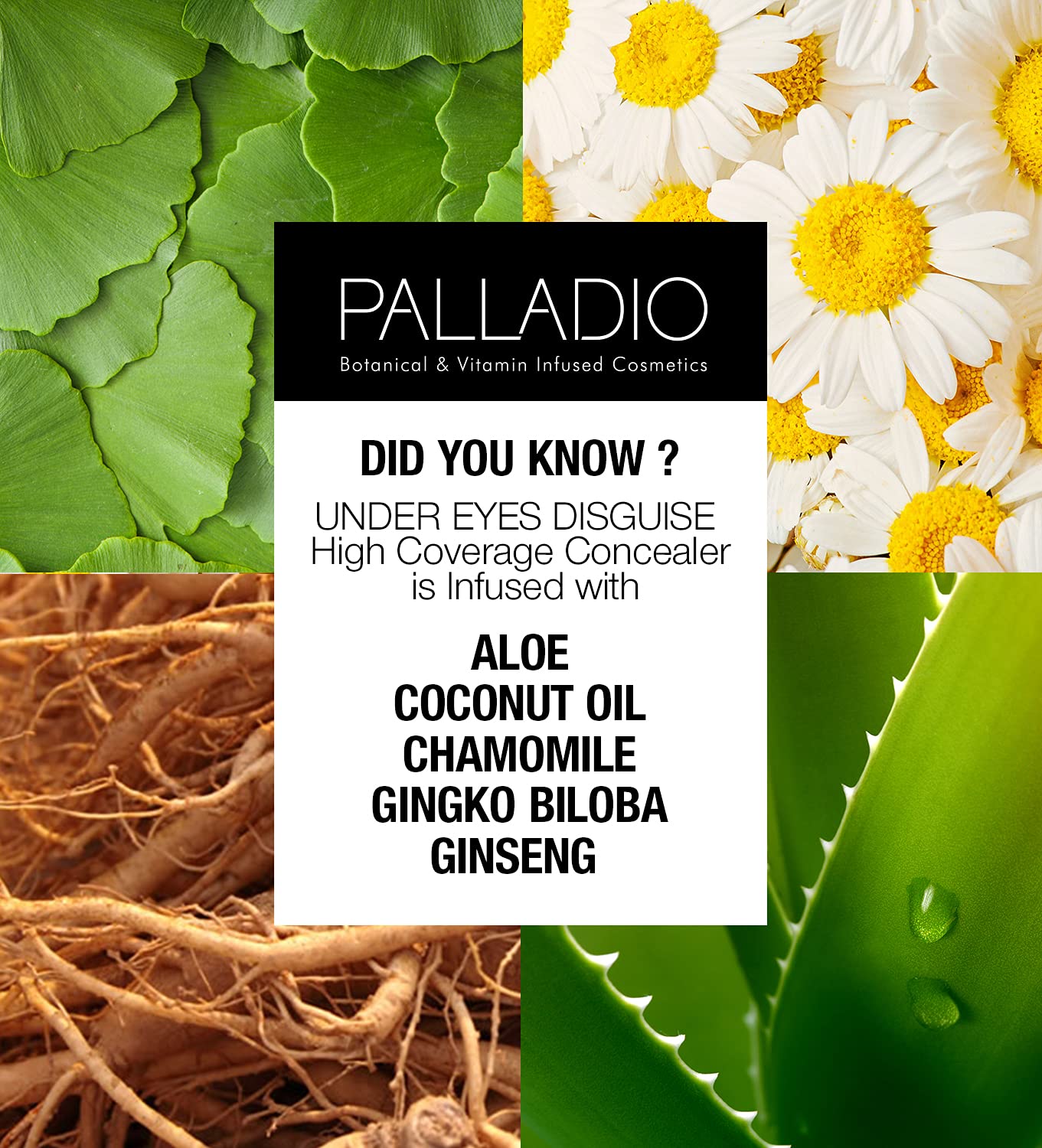 Palladio Under Eyes Disguise Full Coverage Concealer, Green Tea, 0.35 Ounce