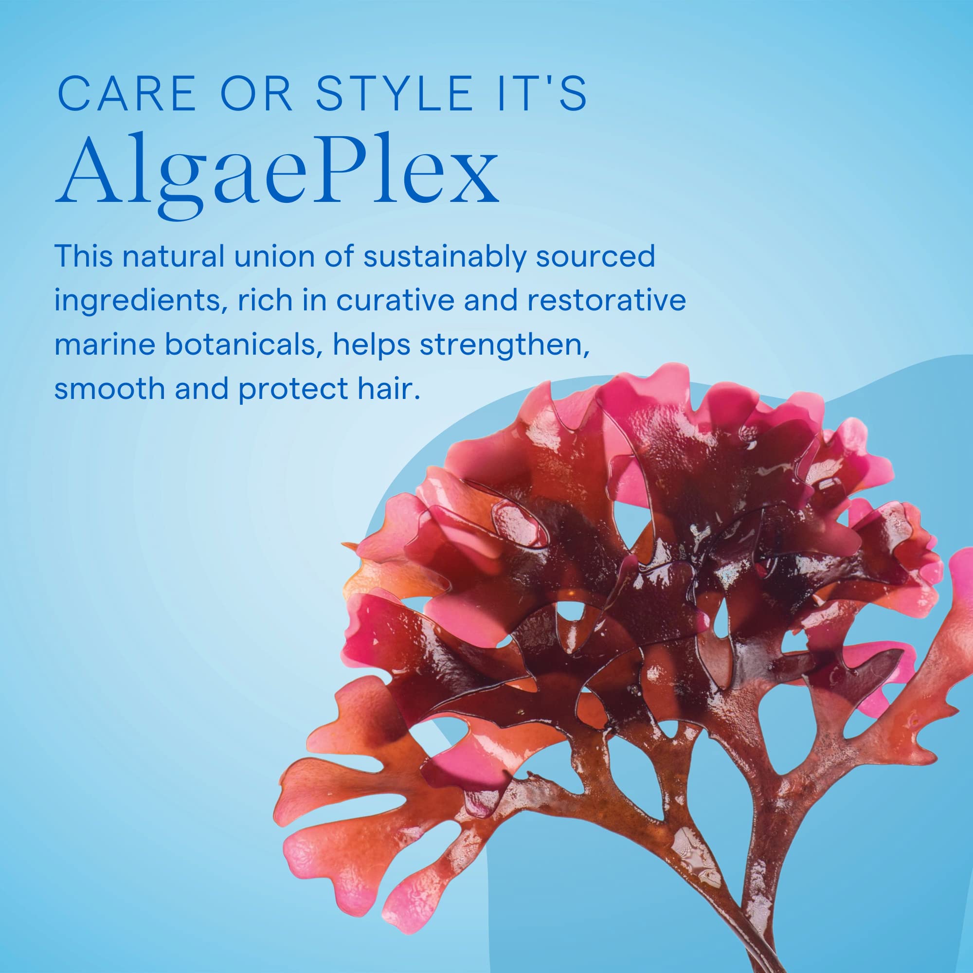 AQUAGE. SeaExtend Thickening Conditioner - Thermal-V Technology Seals Heat Out, Adds Volume, Shine, Fullness without Frizz, 8 oz