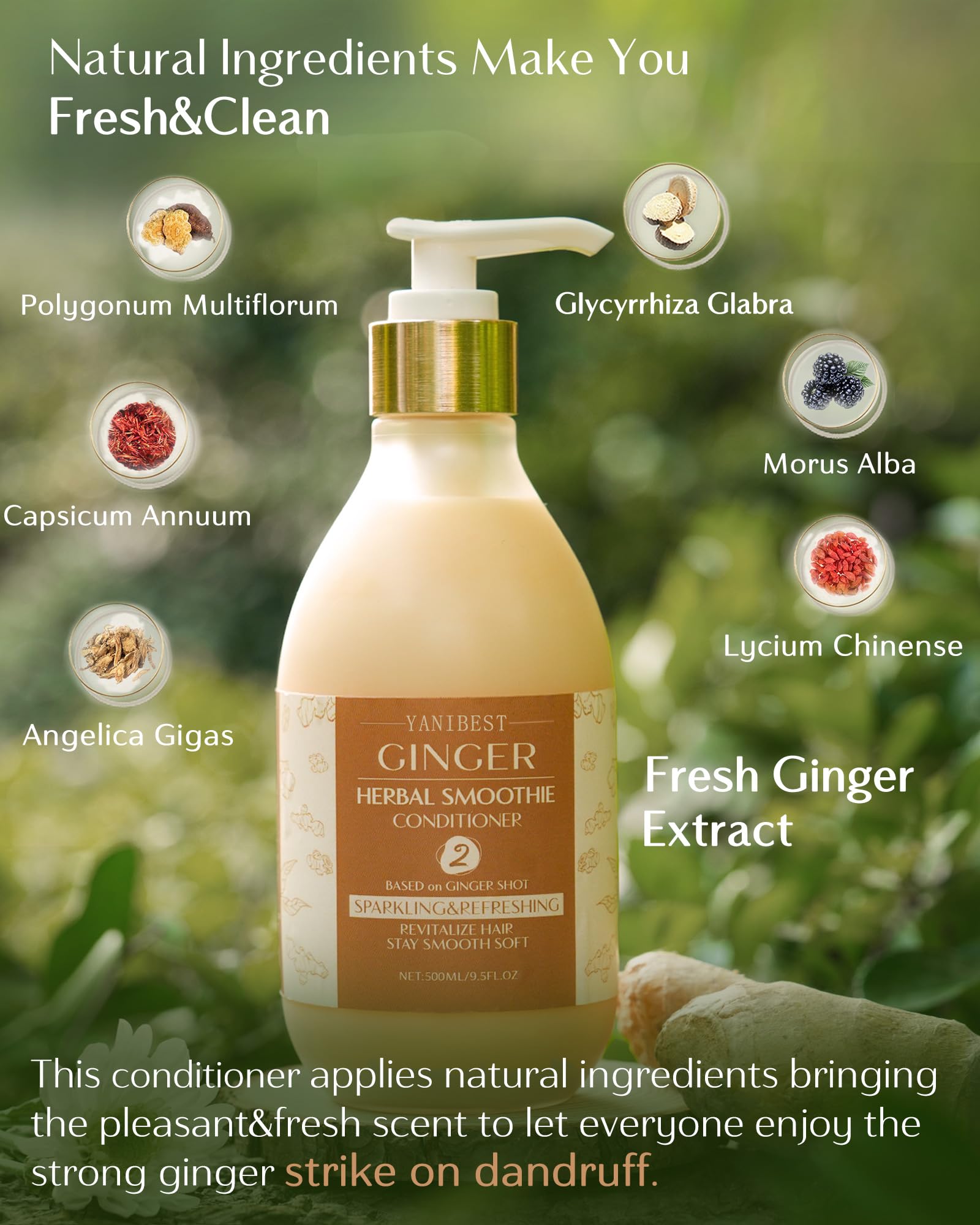 Yanibest Natural Ginger Shot Smoothie Conditioner, Organic Herbaceous Plants for Shiny, Soft, Frizz Free and No Tangles, Healthy
