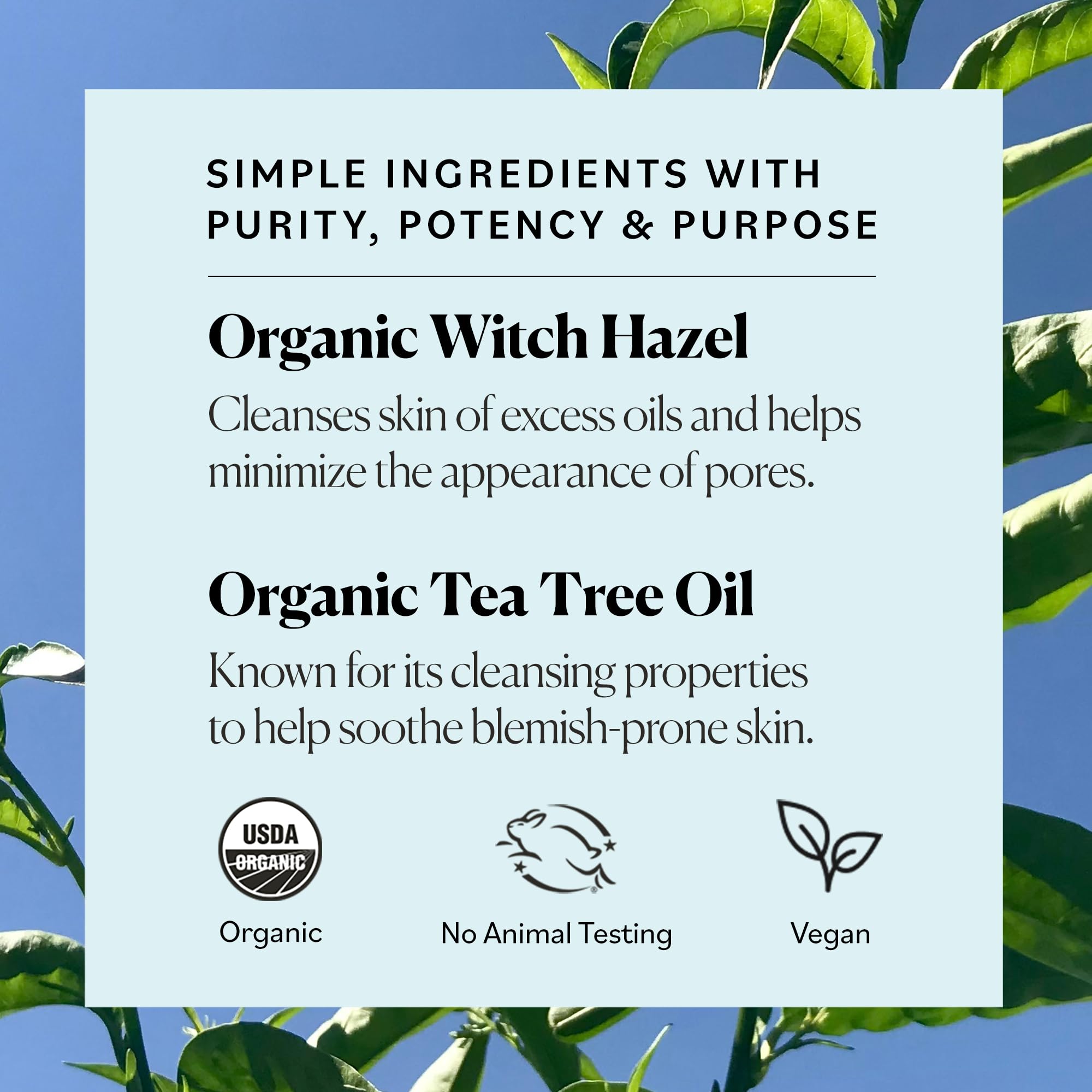 Sky Organics Organic Tea Tree & Witch Hazel Facial Toner, 8 fl oz - Purifying, Hydrating for Blemish-Prone Skin, Minimizes Pores