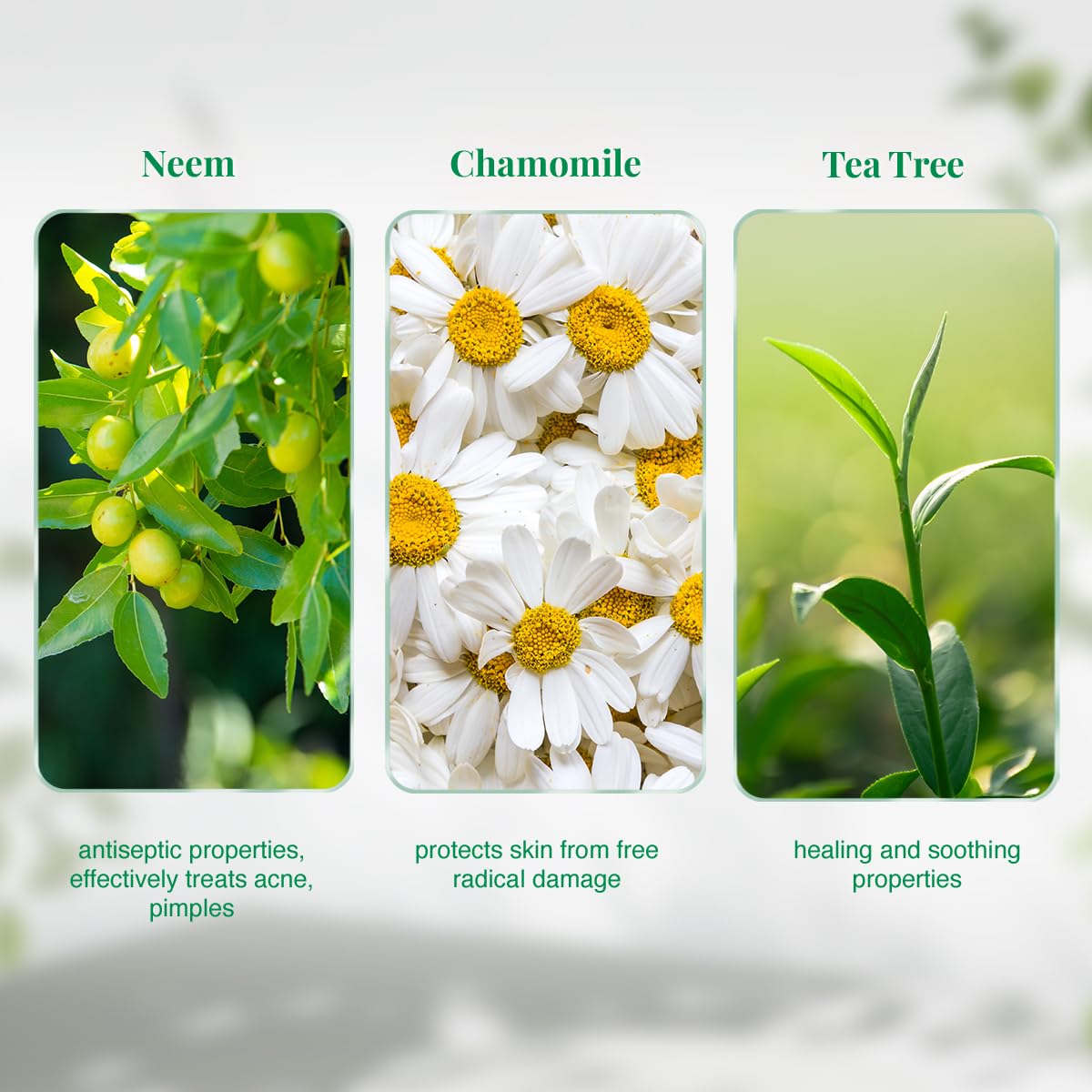VLCC Neem Face Wash With Chamomile And Tea Tree, 150Ml
