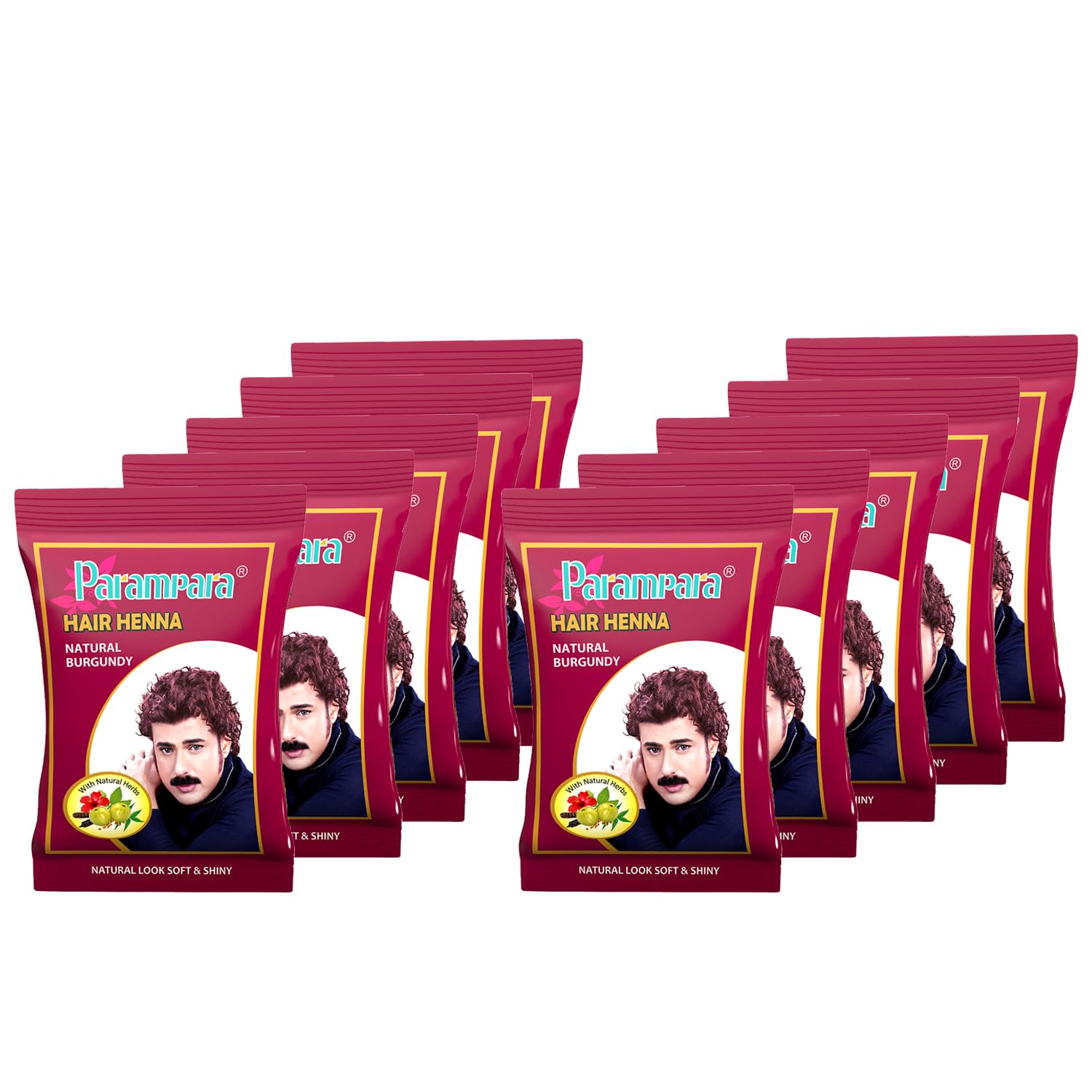 Parampara Ayurved Natural Burgundy Hair Color Henna Powder For Men & Women With Coffee Methi Amla Bhringaraj Hibiscus Shikakai R