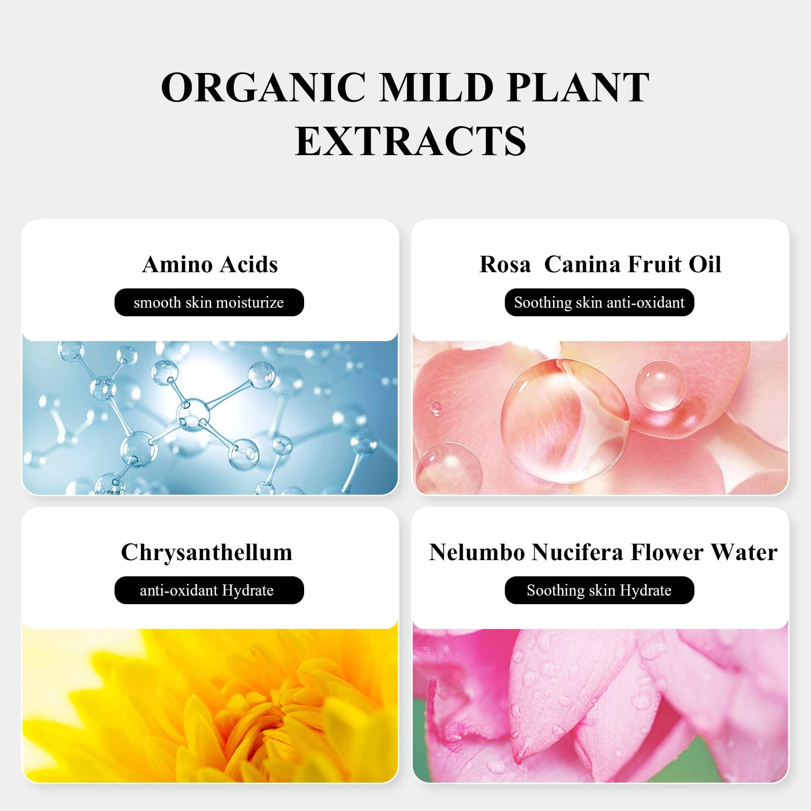 Breylee Shampoo For Lash Extensions, 60Ml+Rinse Bottle+Brushes, Eyelash Extension Cleanser, Lash Wash Bath, Lash Cleaner, Parabe