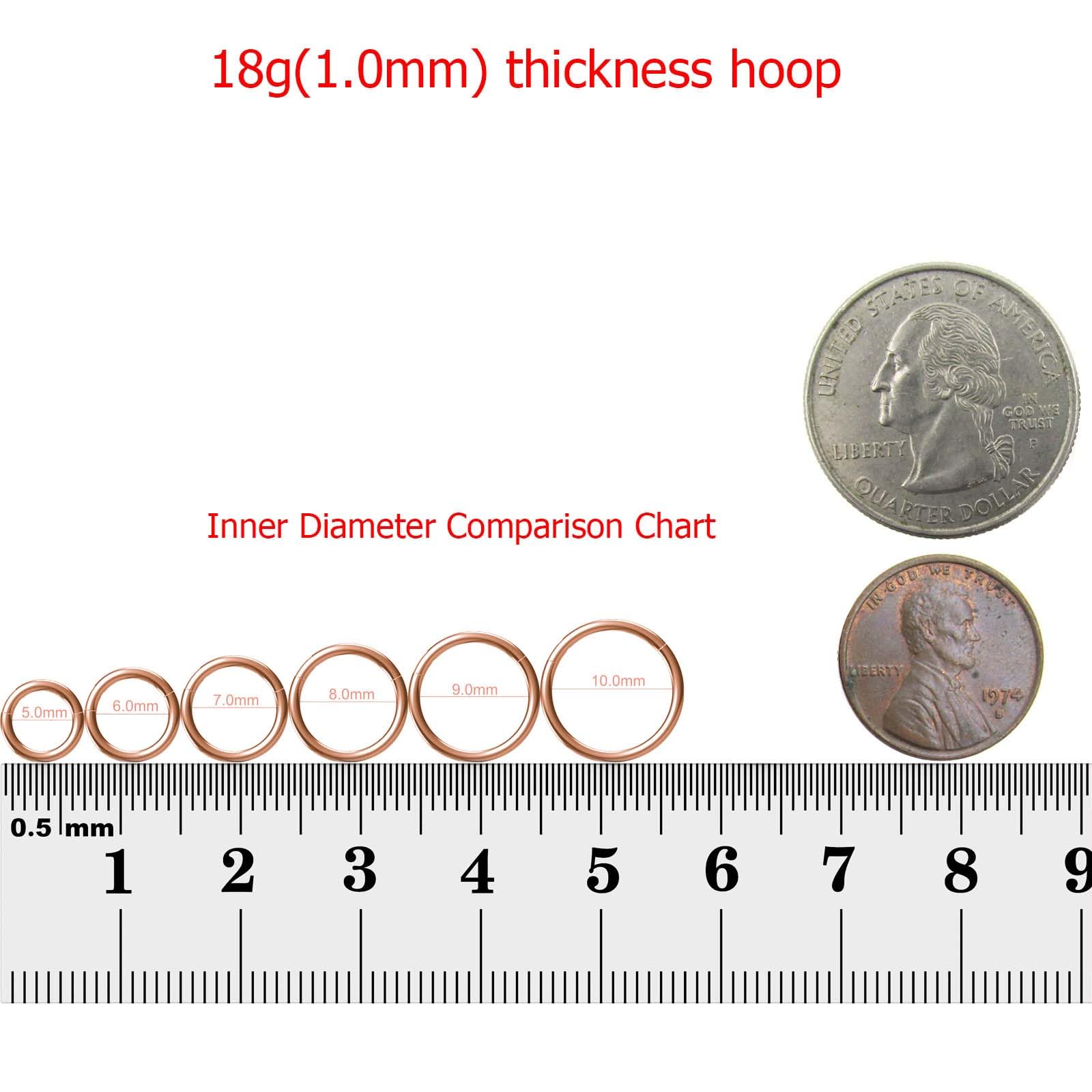 NewkeepsR 3PCS-1.0mm Rose Gold Anodised Hinged Clicker Nose Hoop Rings, 18G 316L Steel Seamless Segment Sleeper Earrings Piercin