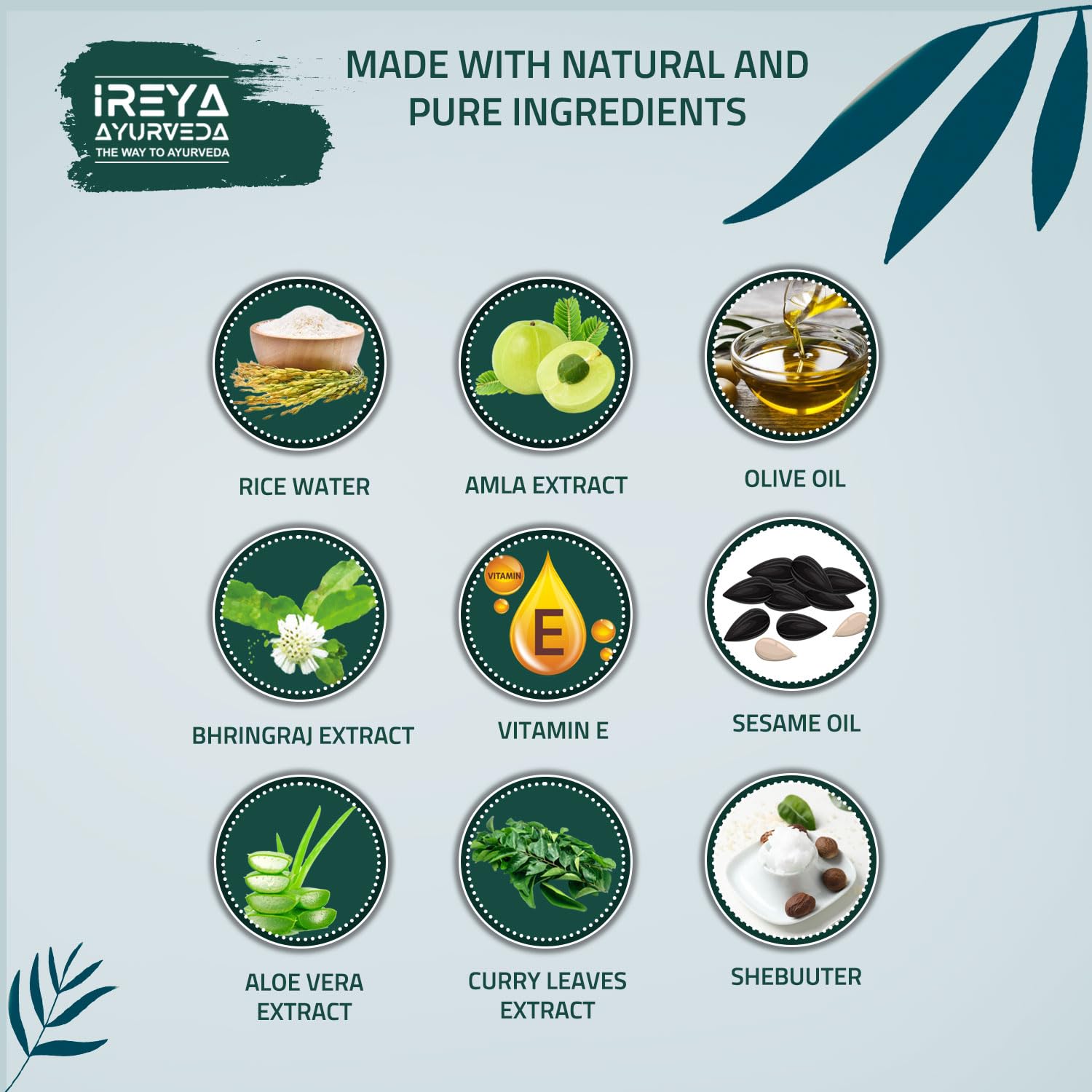 Rice water Hair Conditioner with Amla & Bhringraj Extract | For Smooth, Soft & silky Hair | Anti-Hair Fall Conditioner | Nourish