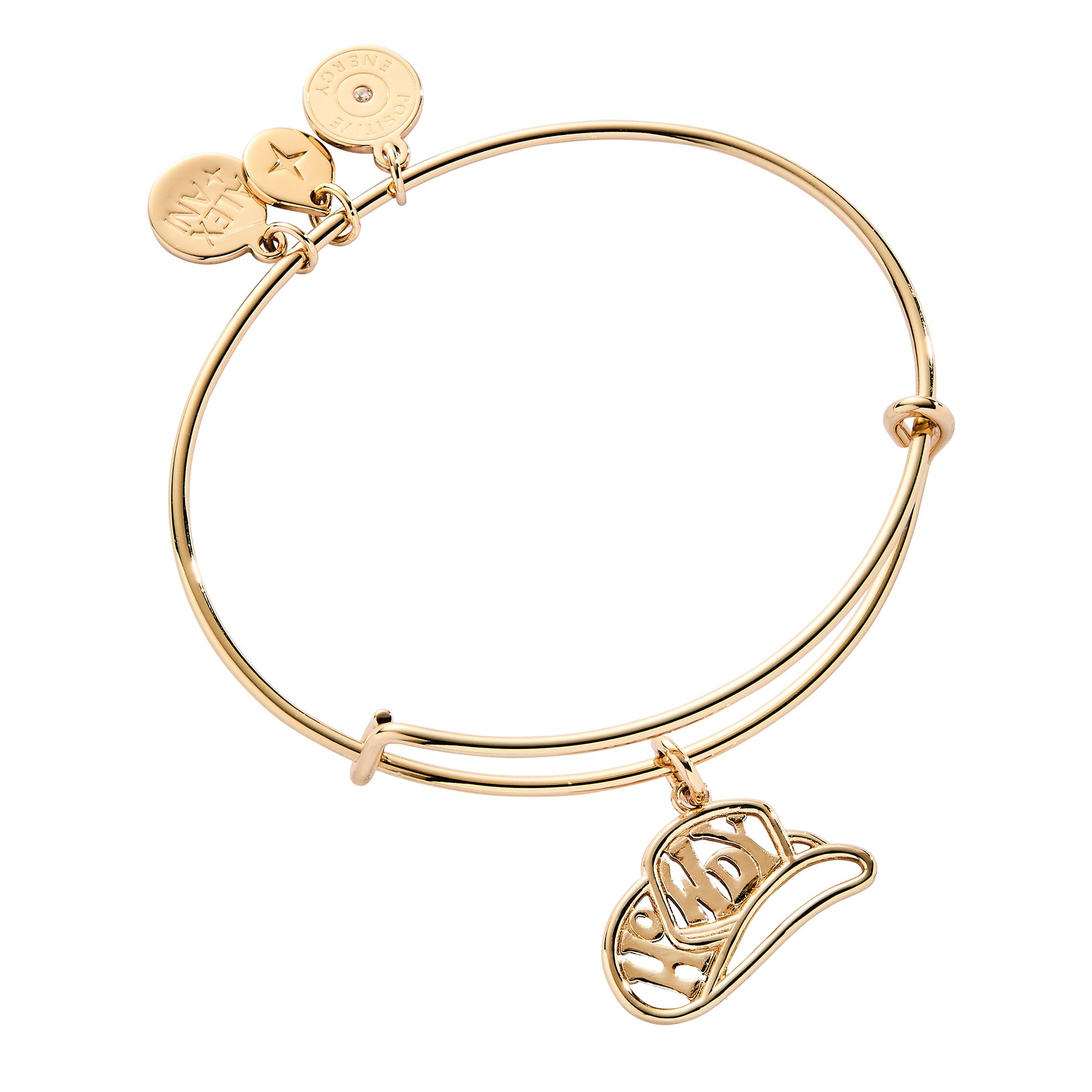 Alex and Ani Mantra Bangle