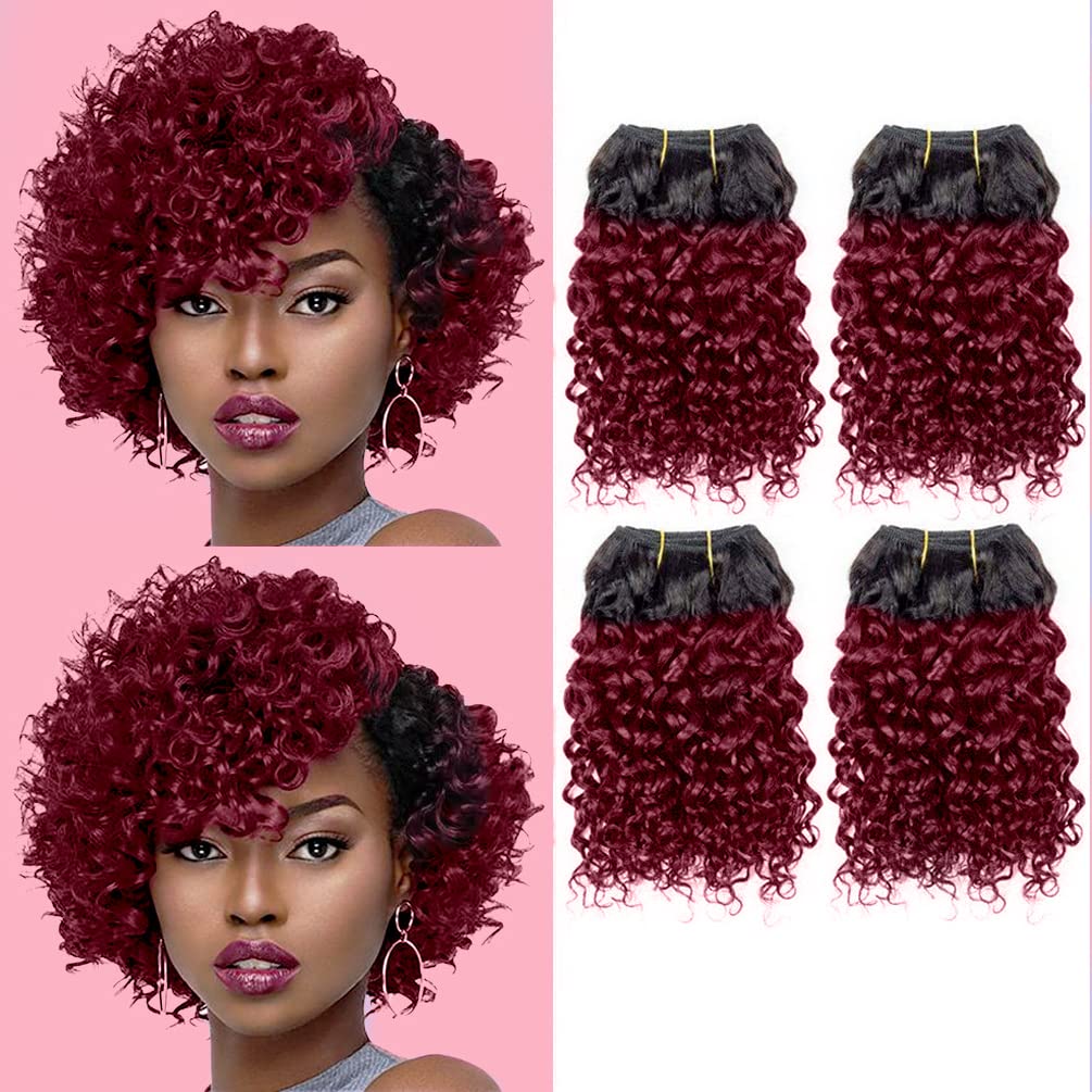 Curly Human hair Bundles Kinky Curly Bundles Human Hair Bundles Curly Human hair 4 Bundles 1B/99J Brazilian Virgin Human Hair 50