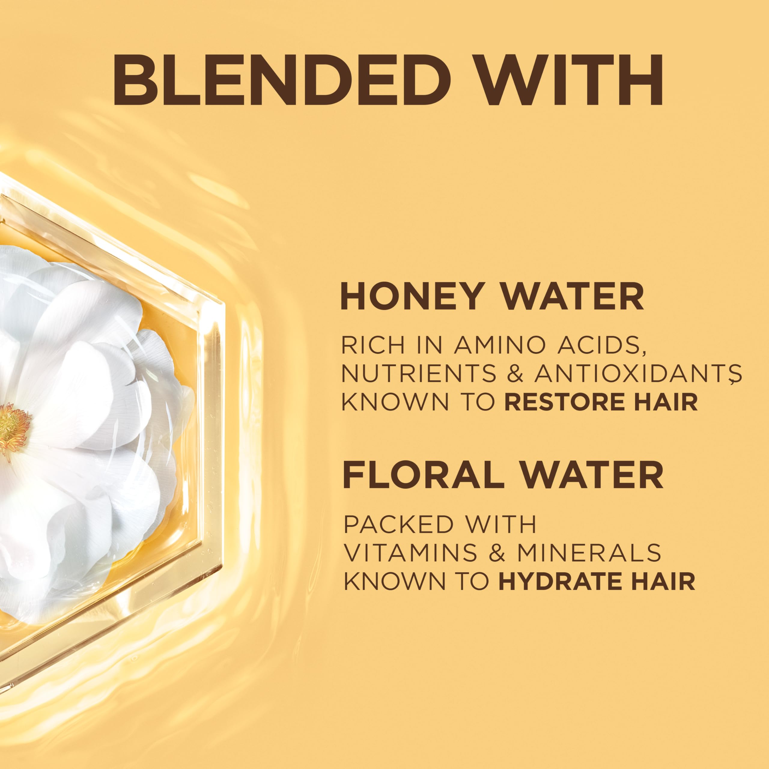 GARNIER Whole Blends Honey Water Moisture Restoring Conditioner, Hair Care for Dry Hair and Dry Scalp with Honey Nectar and Flor