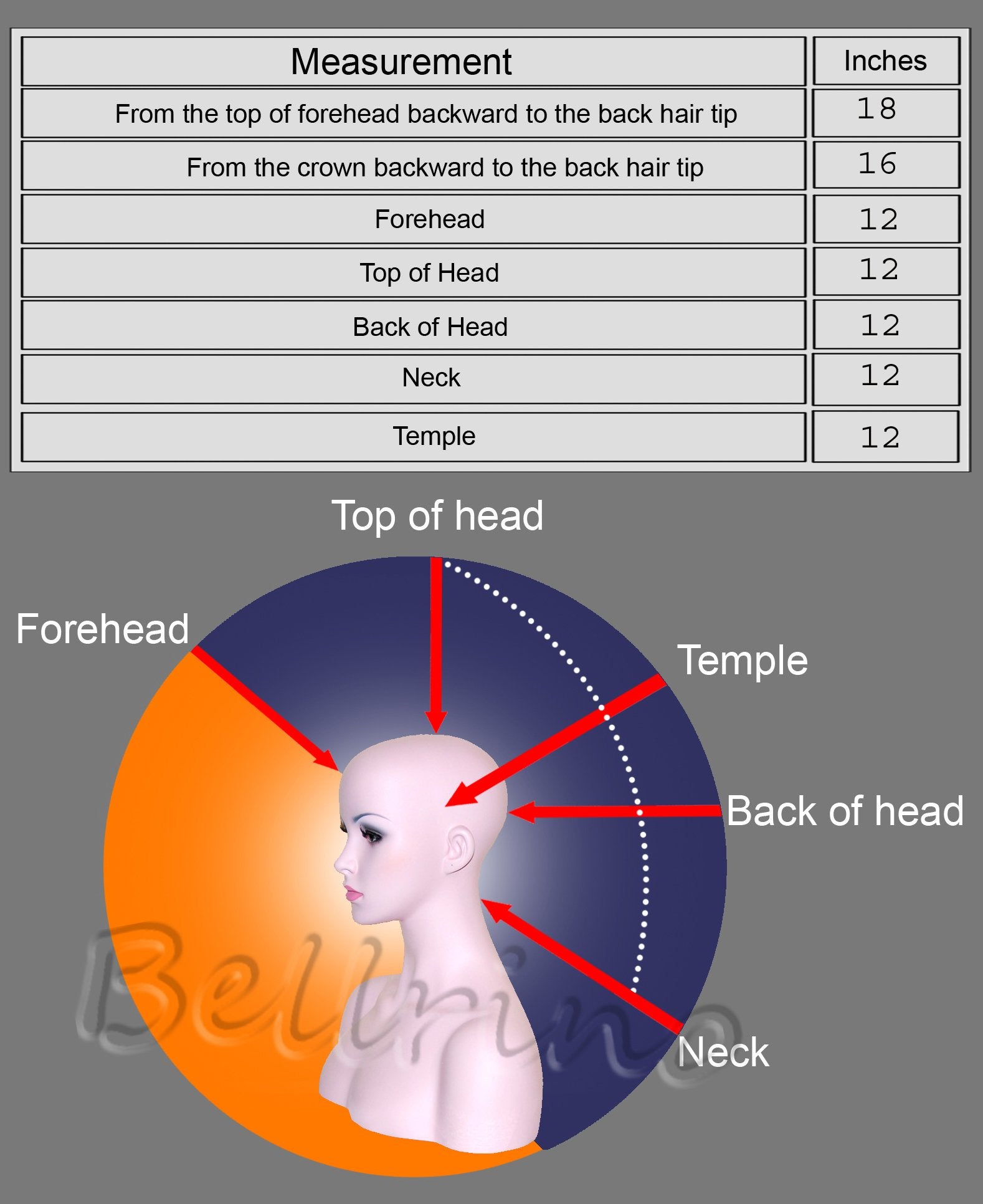 Bellrino 18-19 Cosmetology Mannequin Manikin Training Head with Human Hair with Table Clamp Holder - AMBER + C
