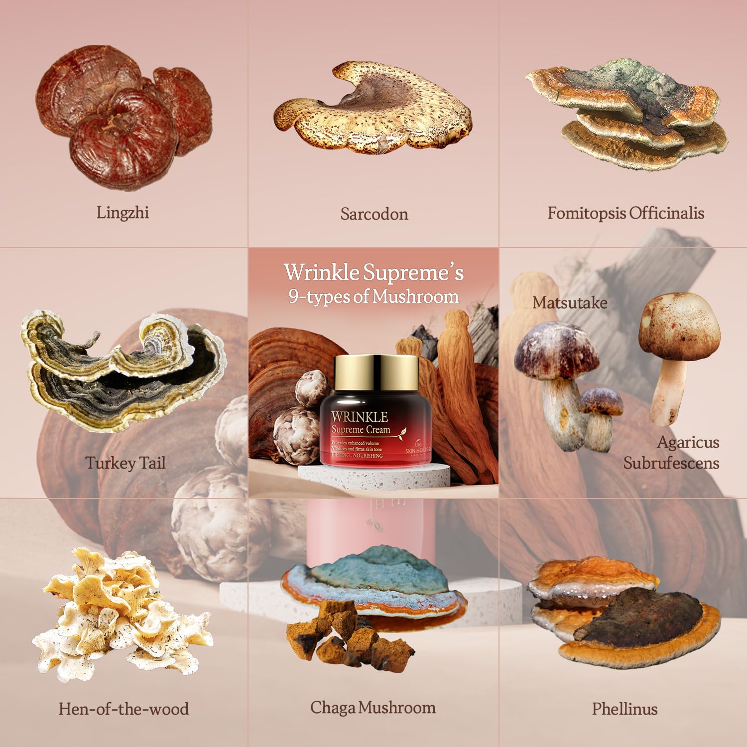 THE SKIN HOUSE Wrinkle Supreme Cream 1.69 fl.oz Korean Fermented Red Ginseng, Adenosine, Mushrooms l Wrinkles, Fine Lines l Kore