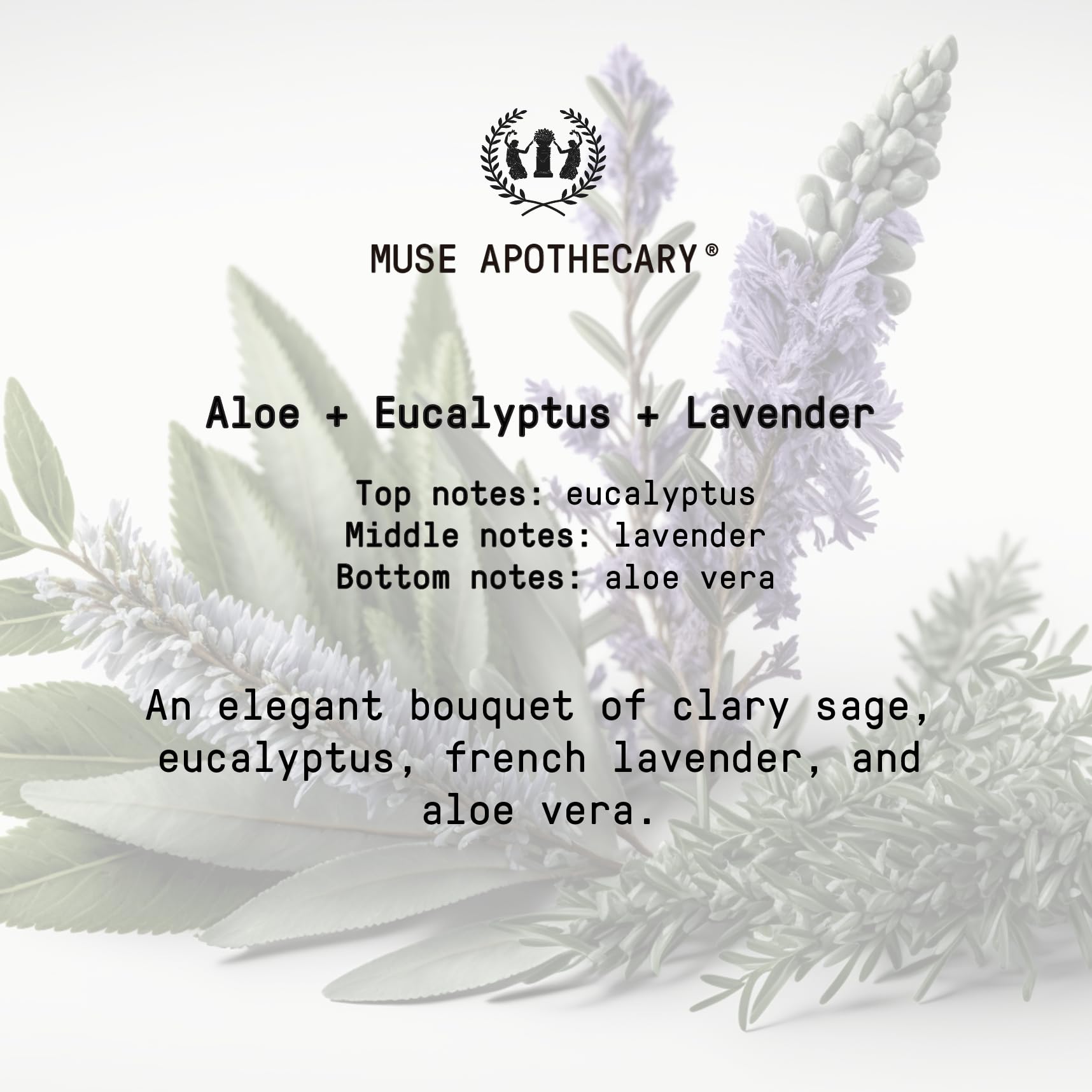 Muse Apothecary Hand Ritual - Aromatic Hand Soap, 16 oz, Aloe + Eucalyptus + Lavender, 2 Pack, Infused with Natural Essential Oils