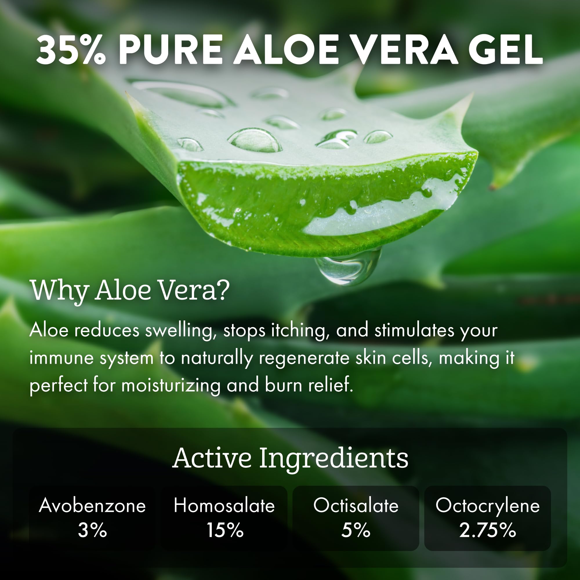Aloe Up Sport Continuous Spray Sunscreen Spf 50 - Broad Spectrum Uva/Uvb Sunscreen Protector For Face And Body - With Aloe Vera