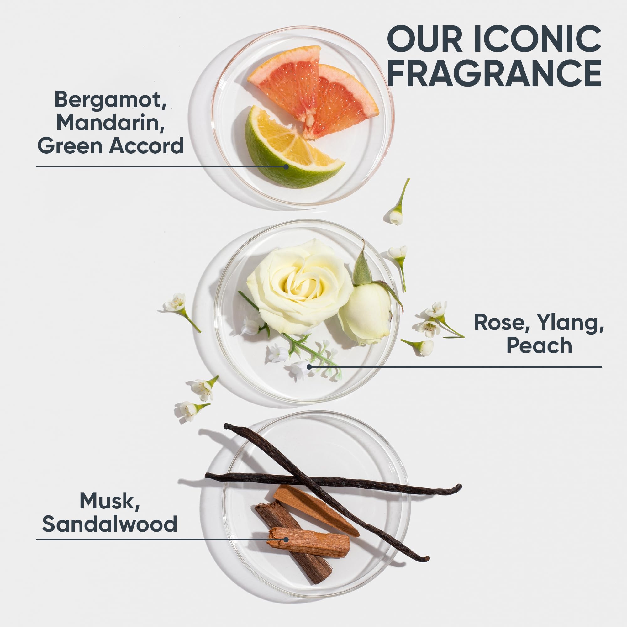Biolage Cooling Mint Shampoo | Cleanses Excess Oil | For Oily Hair | Cool Sensation | Cruelty Free | Vegan | Salon Shampoo | 13.