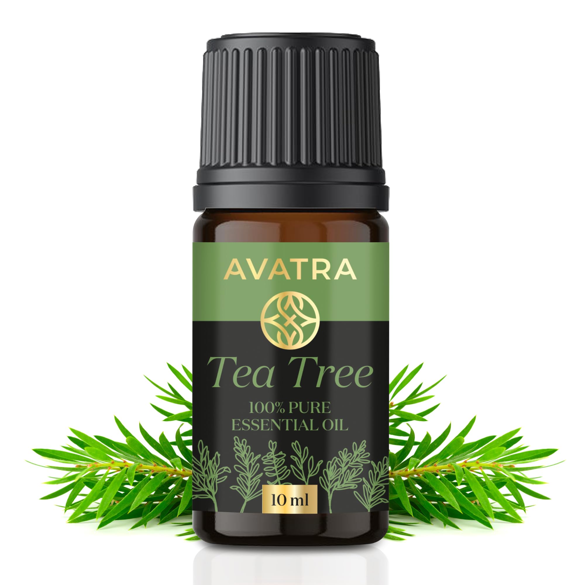 Avatra Pure Tea Tree Essential Oil for Skin, Hair, Face, Acne, Scalp, Foot and Toenails Fungus, 100% Natural Tea Tree Essential 