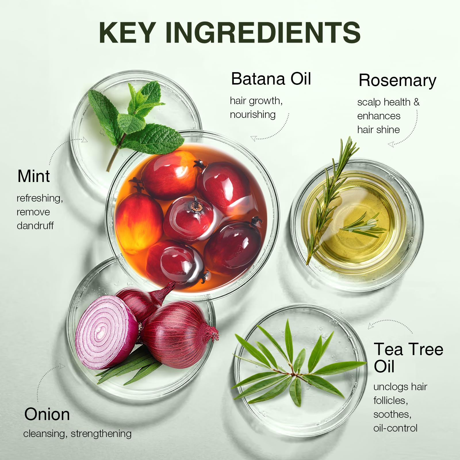 Batana Oil Hair Growth Shampoo, Strengthening Regrowth Shampoo For Men & Women With Thinning Hair & Hair Loss, Infused Rosemary,