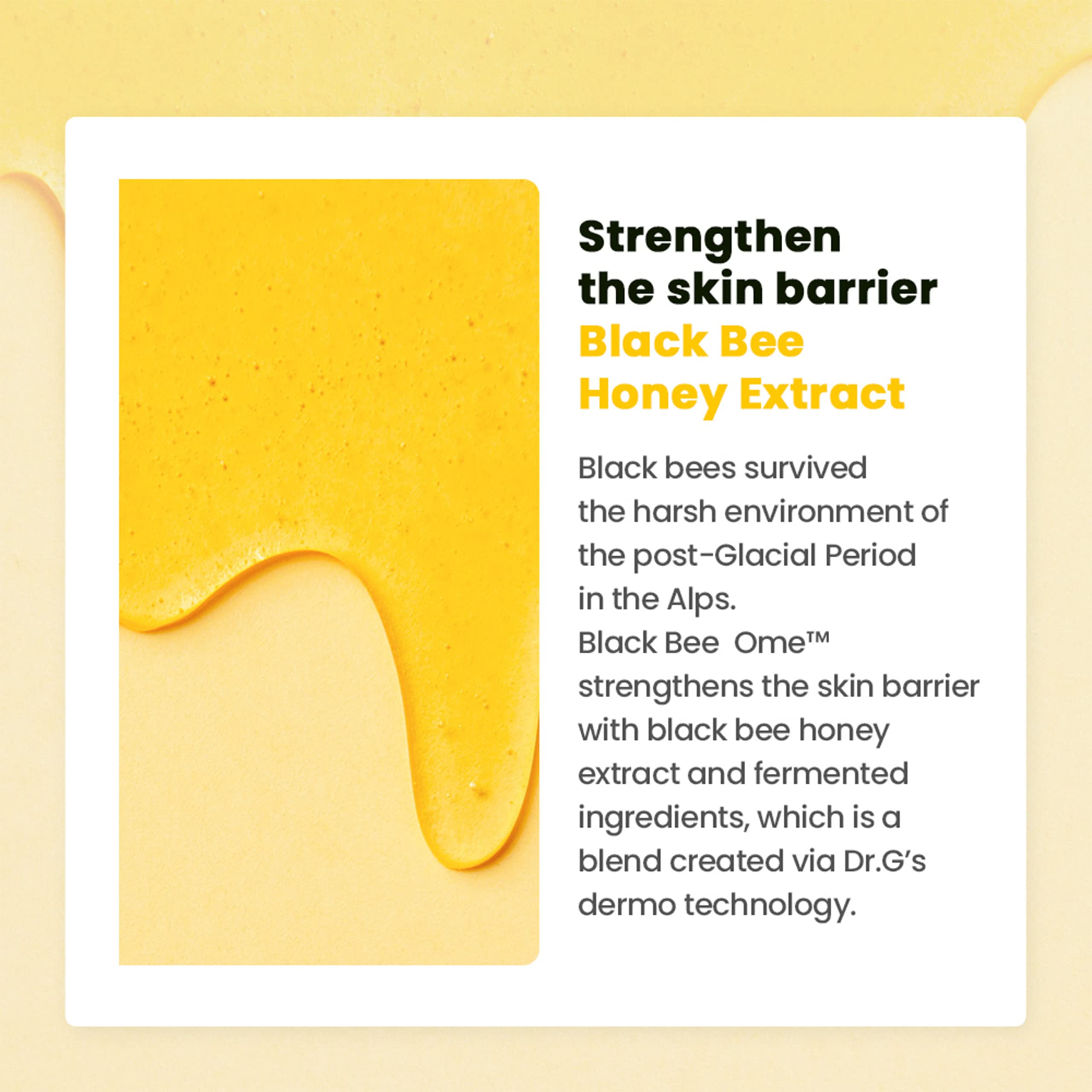 Dr. G Royal Black Snail Cream, 50Ml - Korean Moisturizer, Snail Mucin Moisturizer, Korean Skin Care Moisturizer, Korean Face Moi