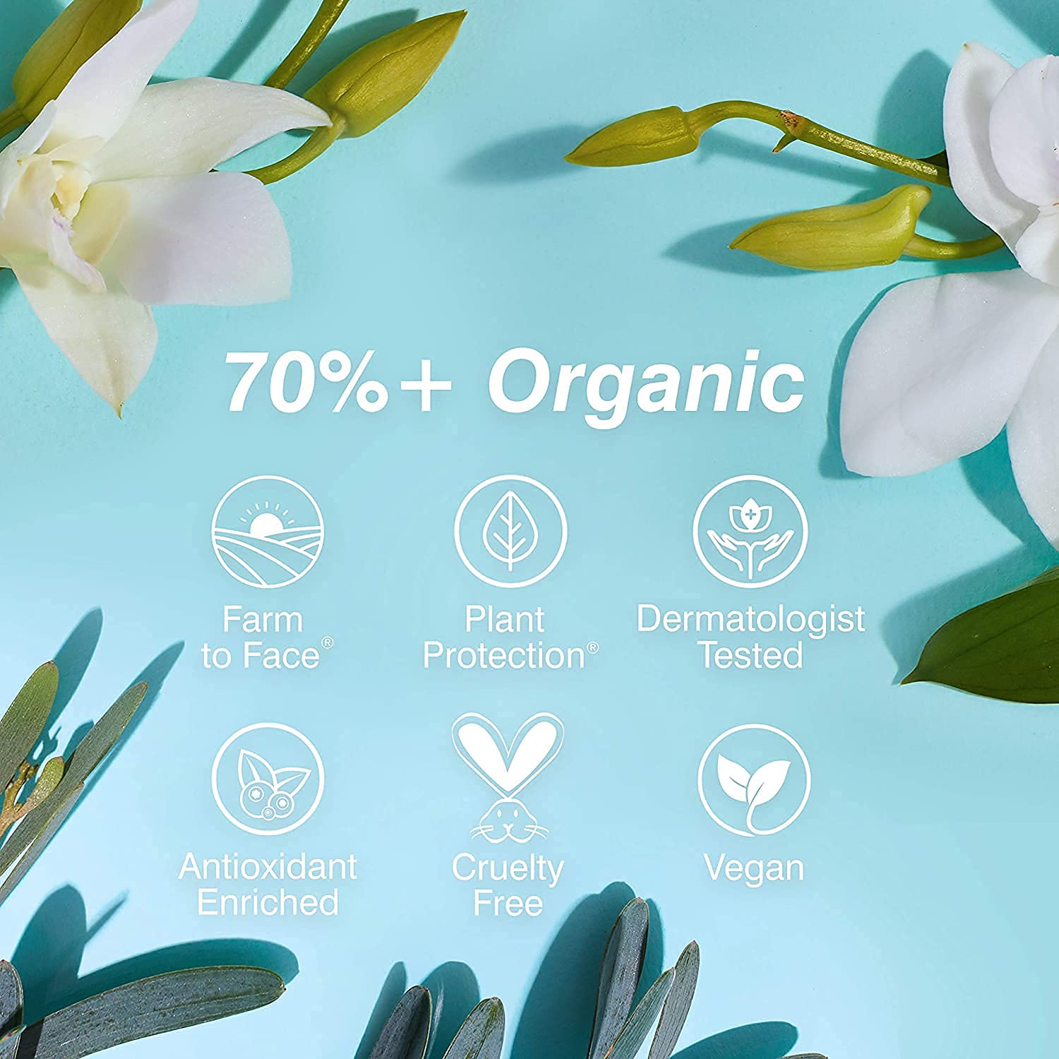 Coola Organic Tinted Lip Balm & Mineral Sunscreen With Spf 30, Dermatologist Tested Lip Care For Daily Protection, Vegan, Variet