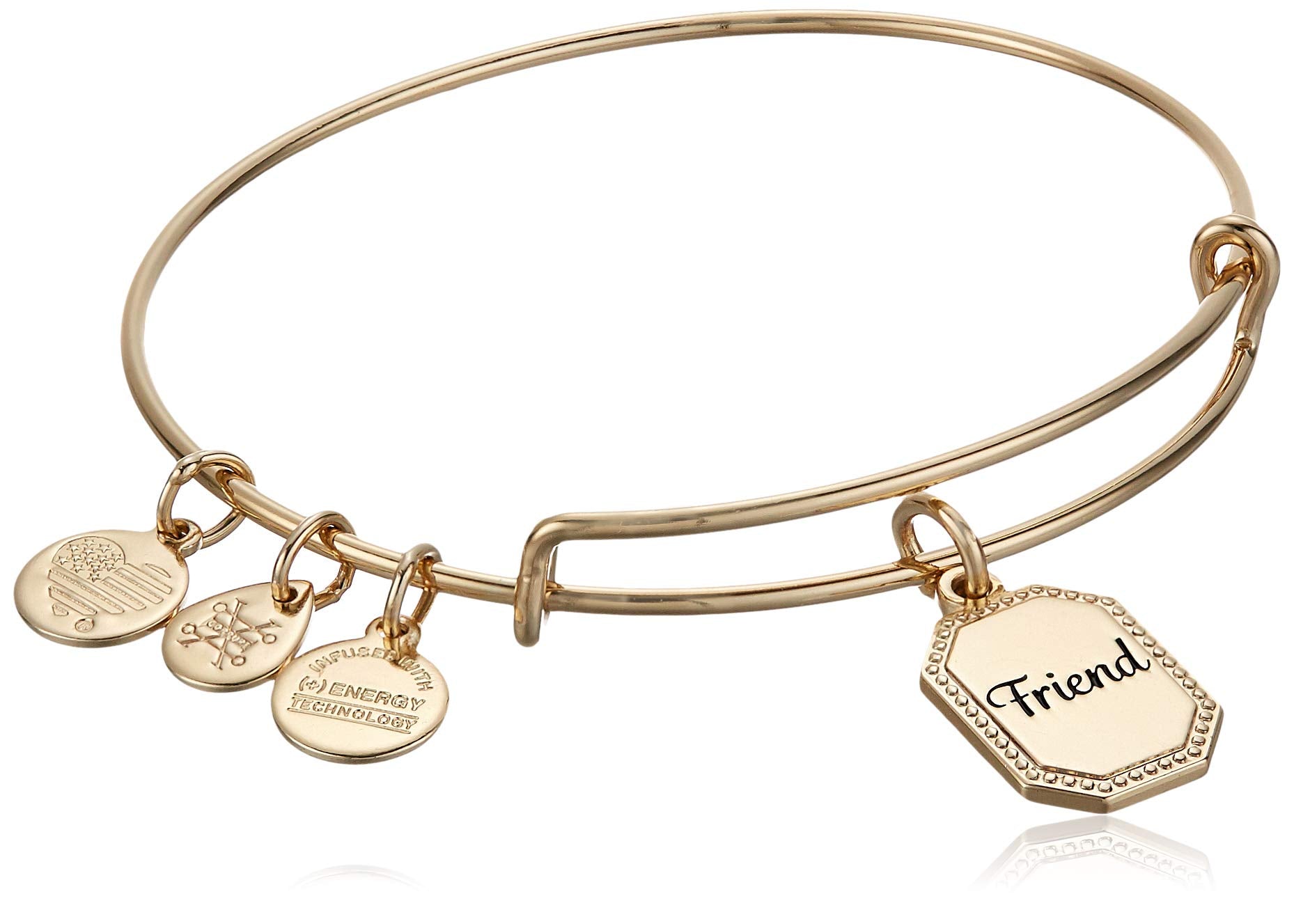 Alex and Ani Because I Love You Friend Expandable Wire Bangle for Women, United by Soul, Let The Good Times Roll Charm, Shiny An