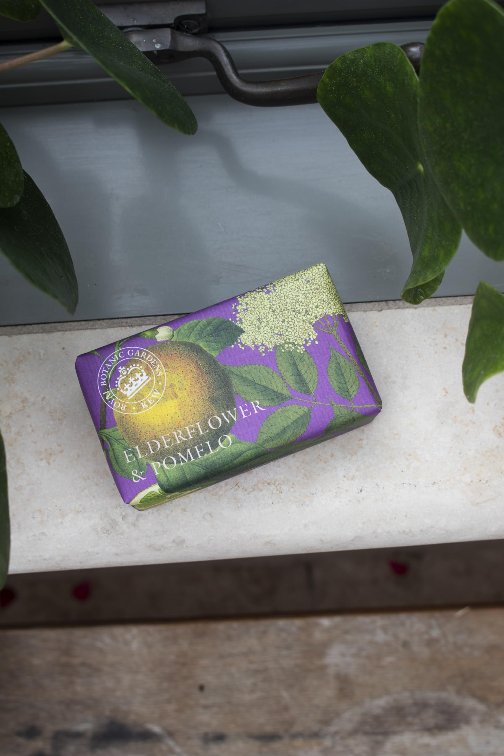The English Soap Company Royal Botanical Gardens Kew Wrapped Soap Bar, Luxury Elderflower Shea Butter Soap Bar, Moisturising Soa