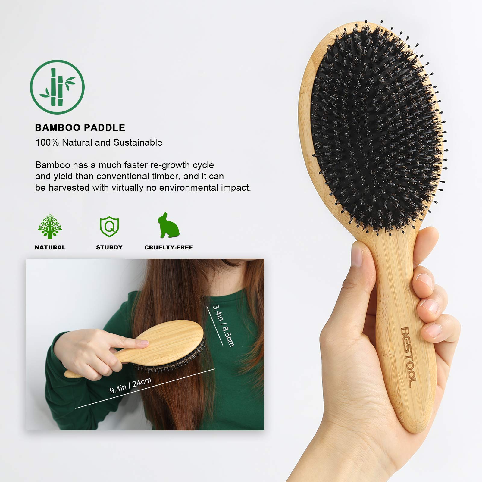 BESTOOL Hair Brush (Regular & Small), Boar Bristle Hair Brushes for Women Men Kids Thick Fine Curly Hair, Hairbrush for Detangli