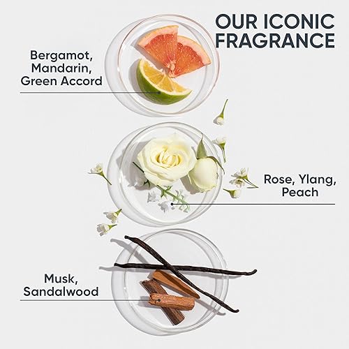 Biolage Strength Recovery Leave-In Conditioner Spray  Hair Repairing Heat Protectant & Detangler  Strengthens & Prevents Damage