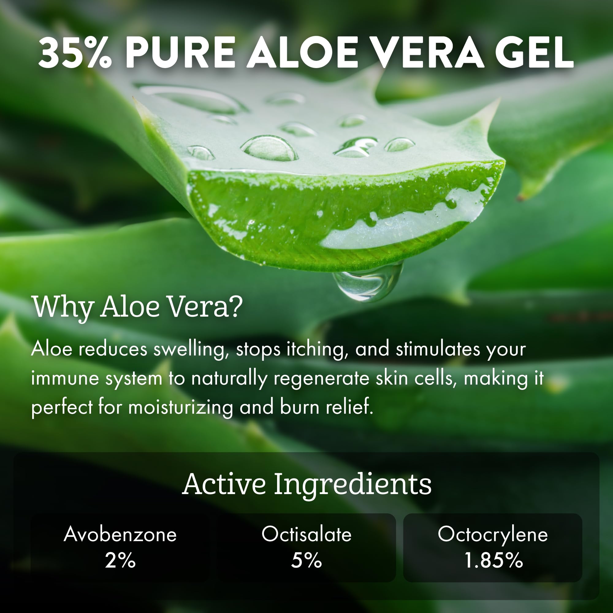 Aloe Up Sport Continuous Spray Sunscreen Spf 15 - Broad Spectrum Uva/Uvb Sunscreen Protector For Face And Body - With Aloe Vera
