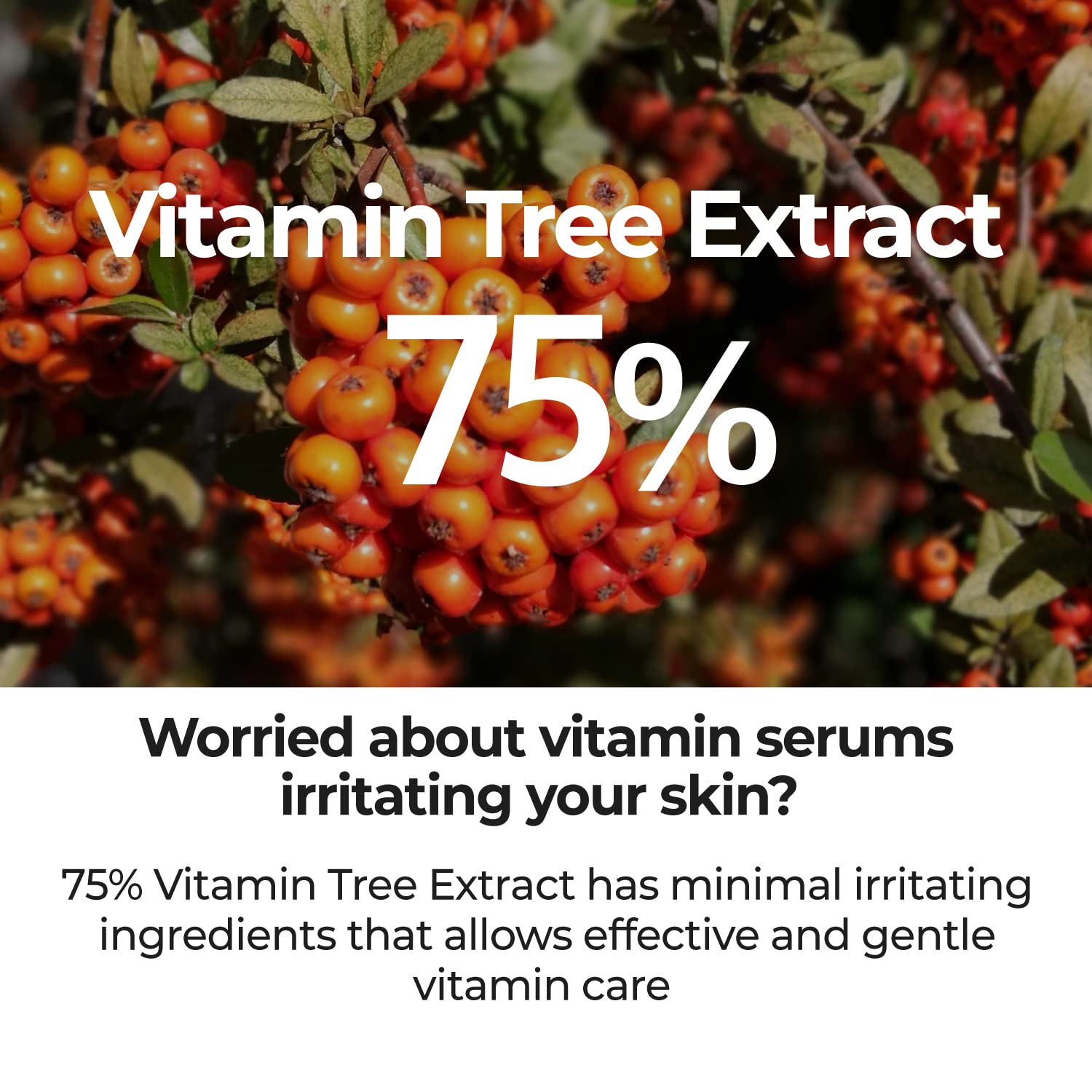 Numbuzin No.5 Goodbye Blemish Serum | Vitamin C, Niacinamide, Antioxidant, Dark Spots, Acne Scars, Lightweight Gel | Korean Skin
