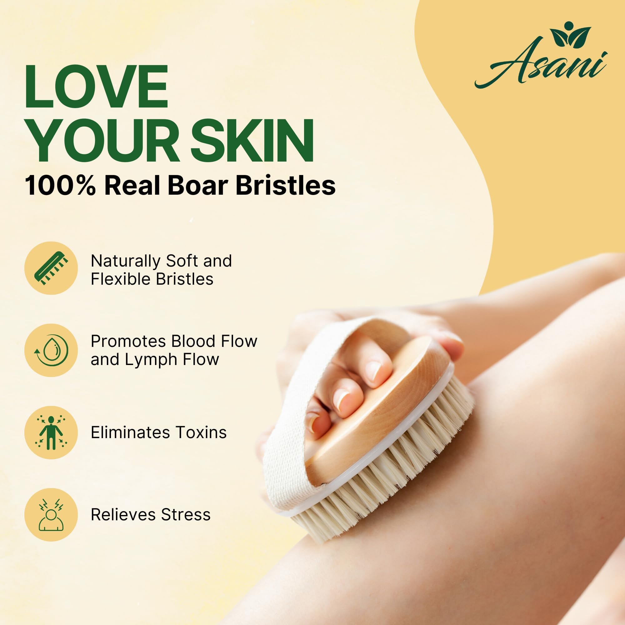Asani Dry Brushing Body Brush Set For Lymphatic Drainage & Cellulite - 3-Pcs Detachable Back, Contour Body & Face Brushes Organi