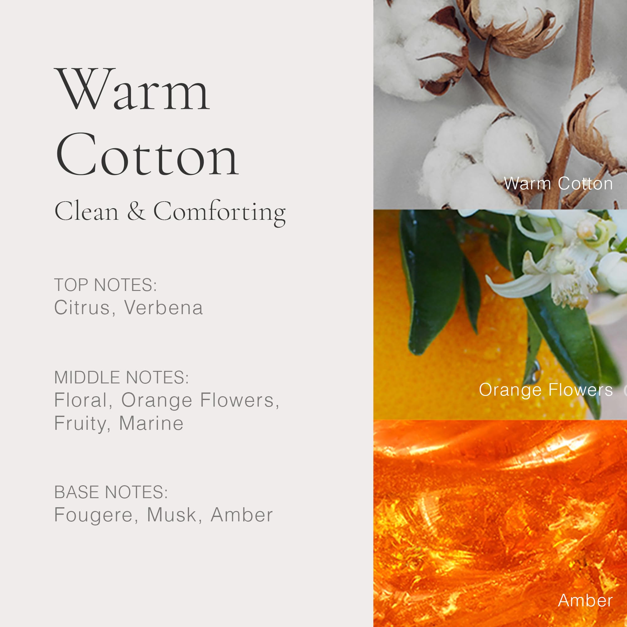 Clean Classic Warm Cotton Duo 2024 Holiday Gift Set