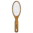 Fuchs Ambassador Wood Oval Hairbrush W/Steel Pins 1 Unit