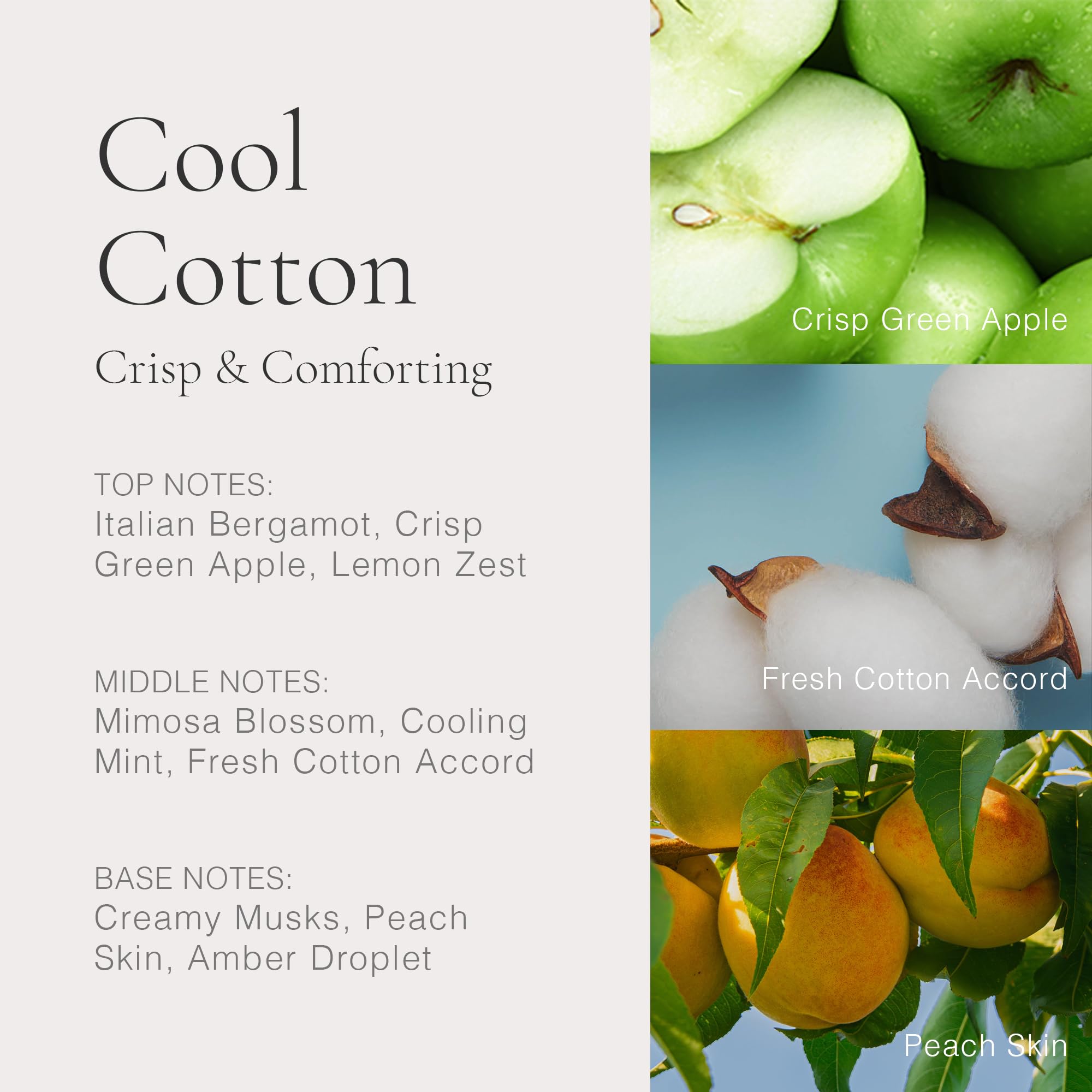 Clean Classic Cool Cotton 30Ml